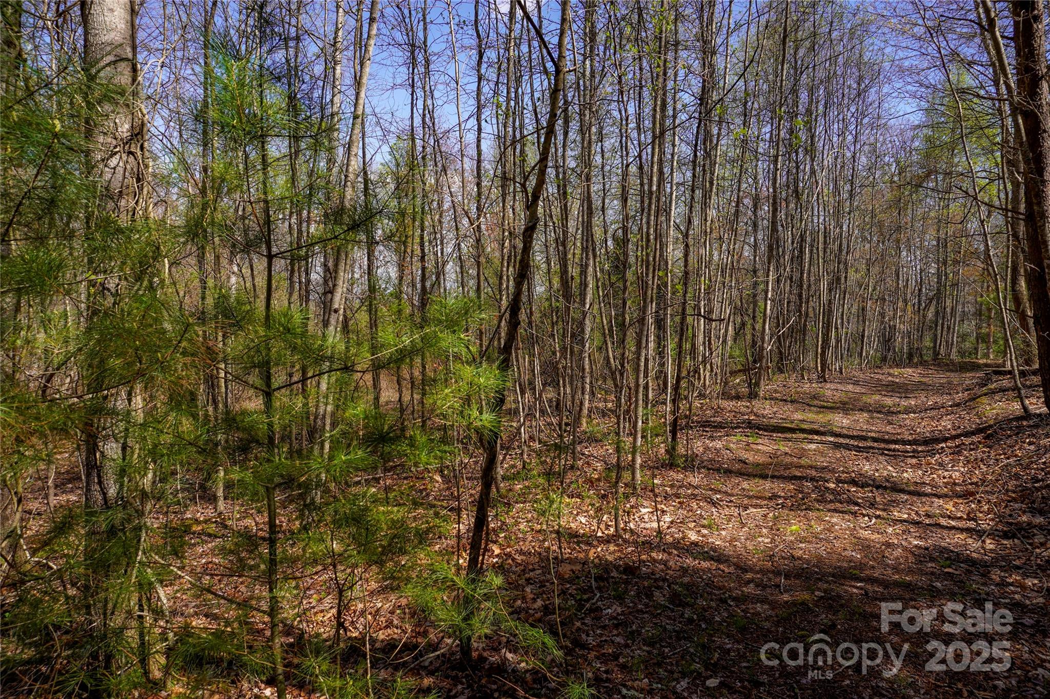 99999 High Top Mountain Drive