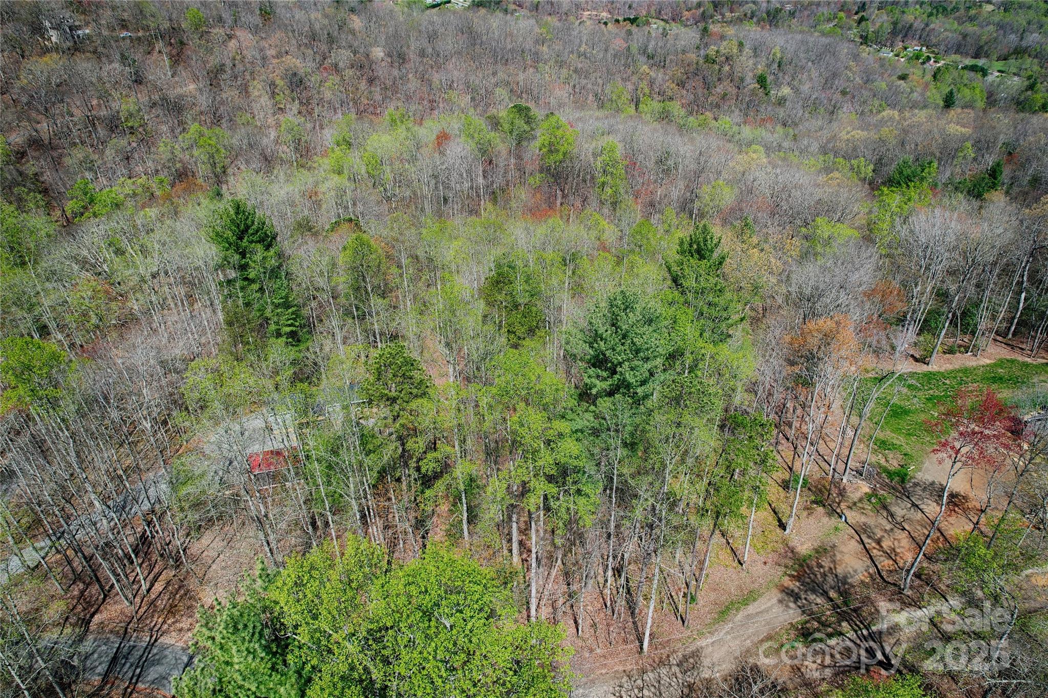 99999 High Top Mountain Drive