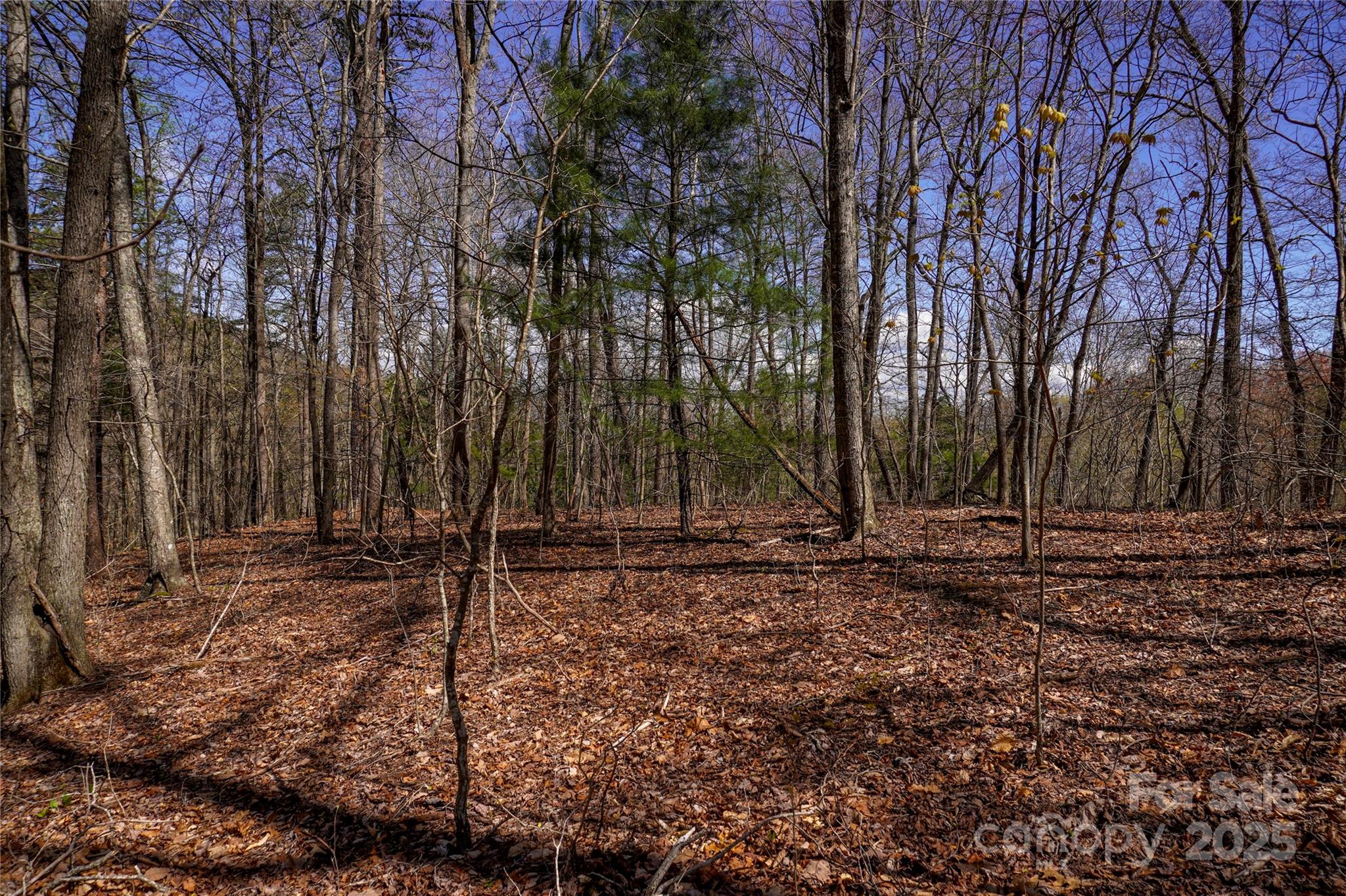 99999 High Top Mountain Drive