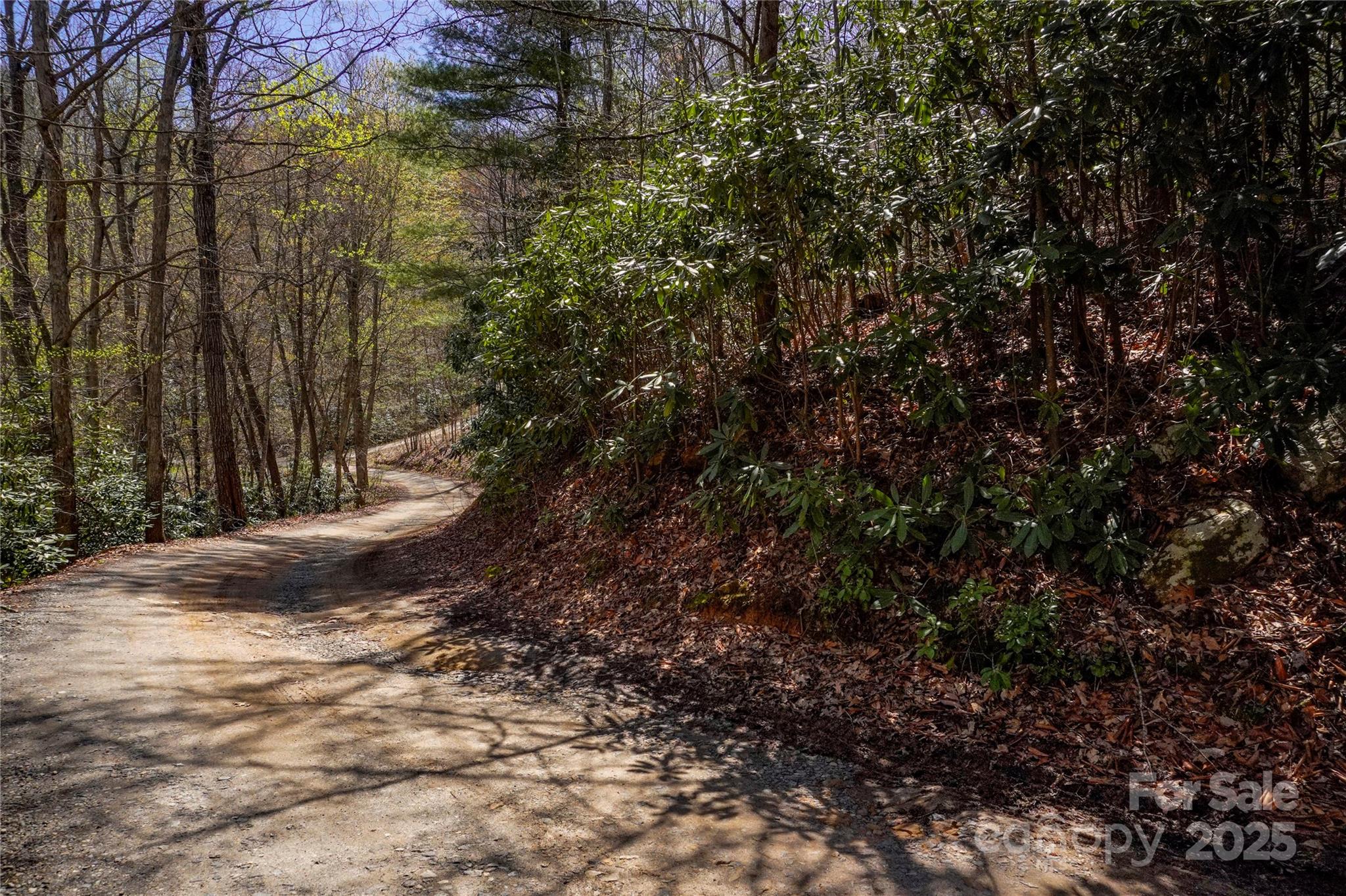 99999 High Top Mountain Drive