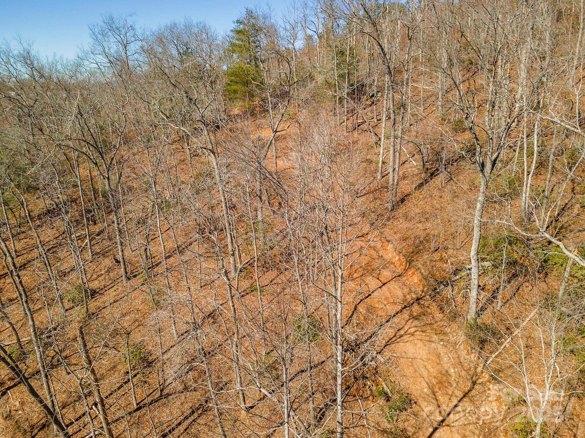107 Bartram Way