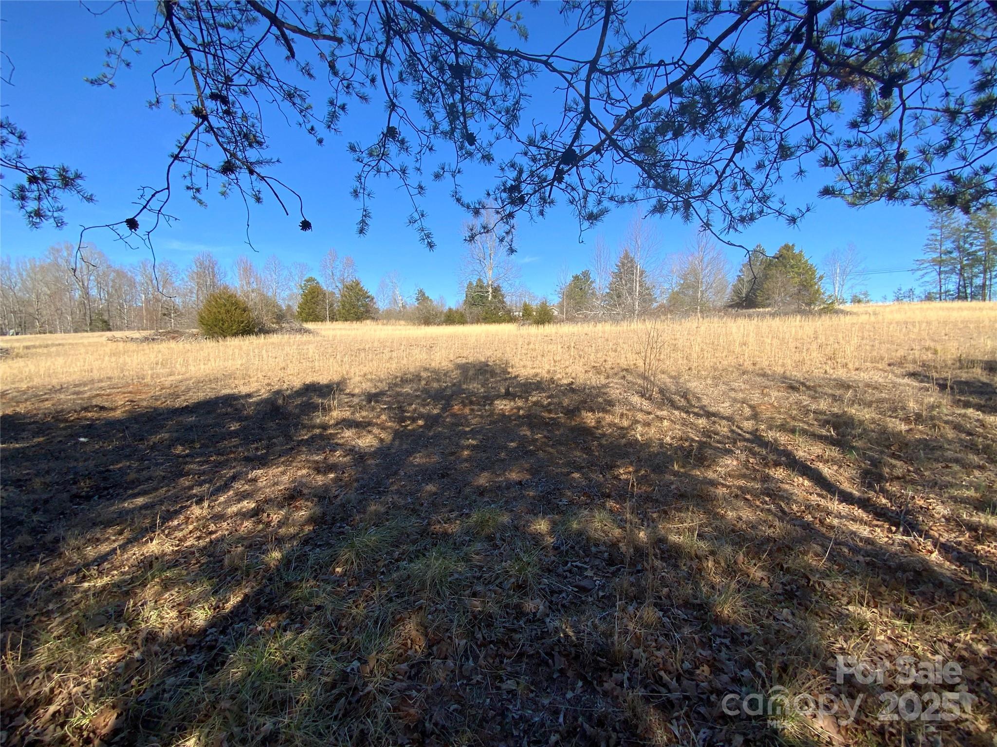 134 Oscar Justice Road