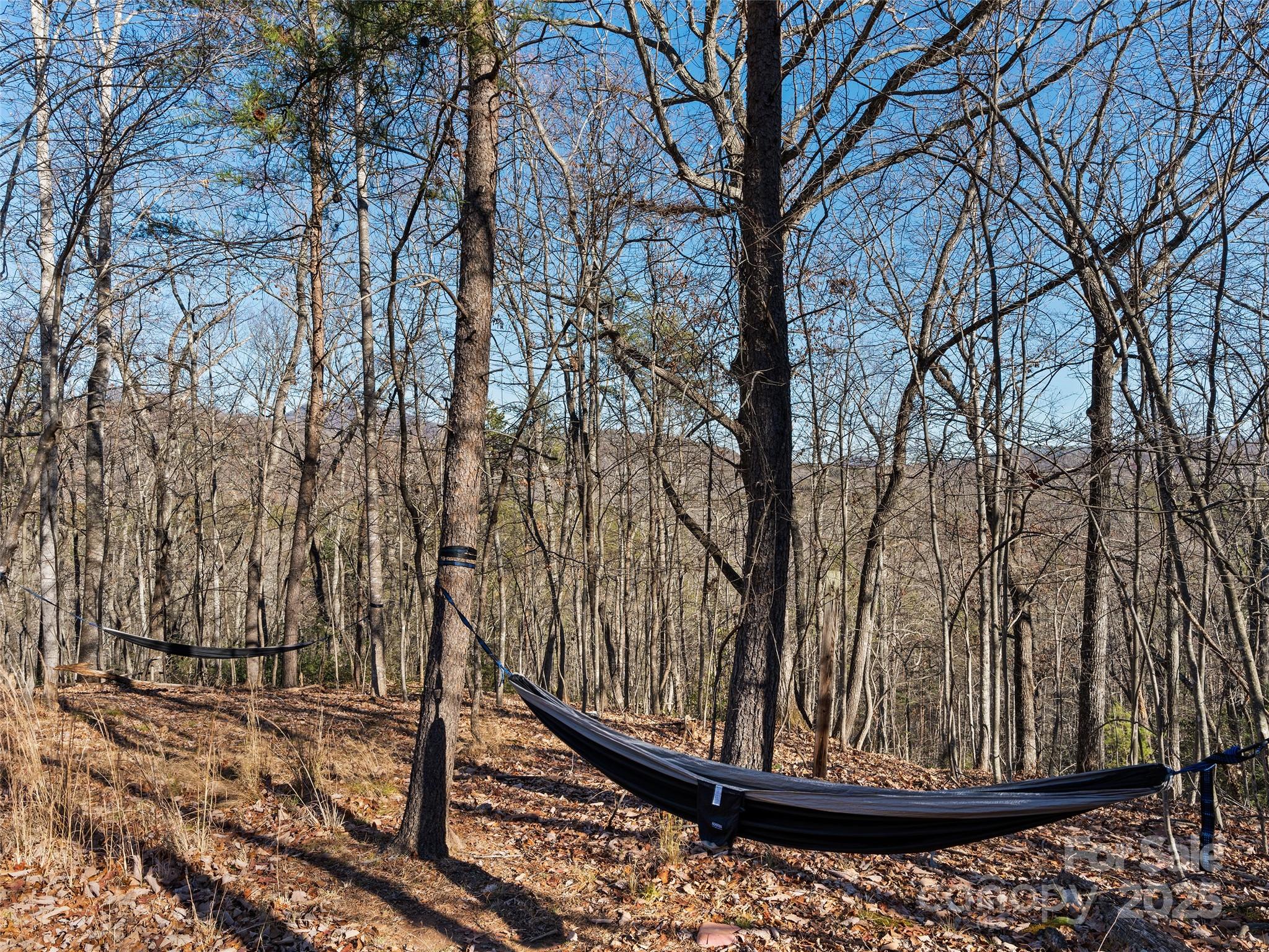 946 Buffalo Shoals Road