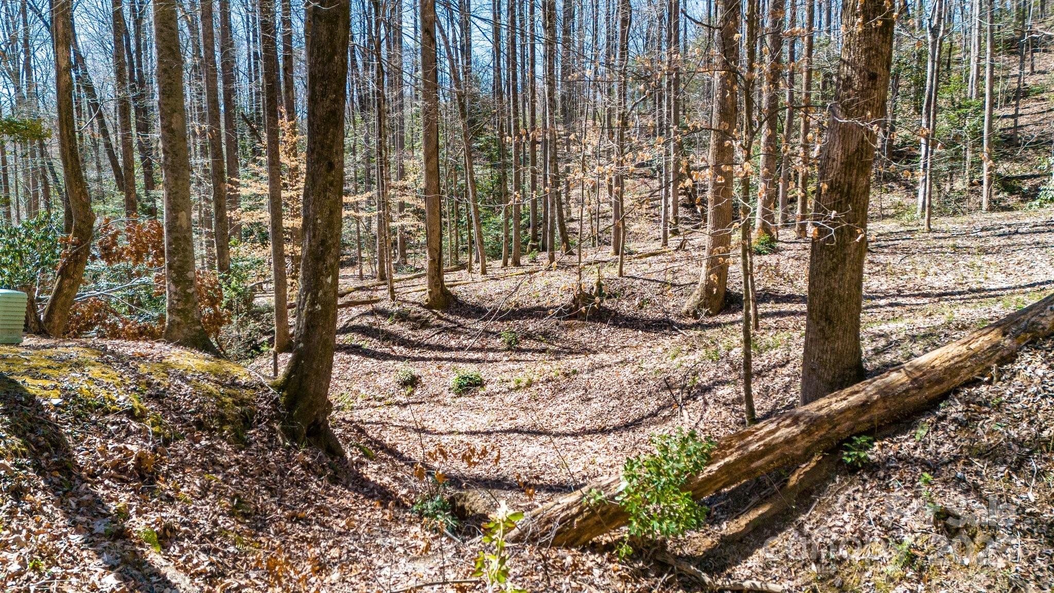 345 Pine Brae Farm Road