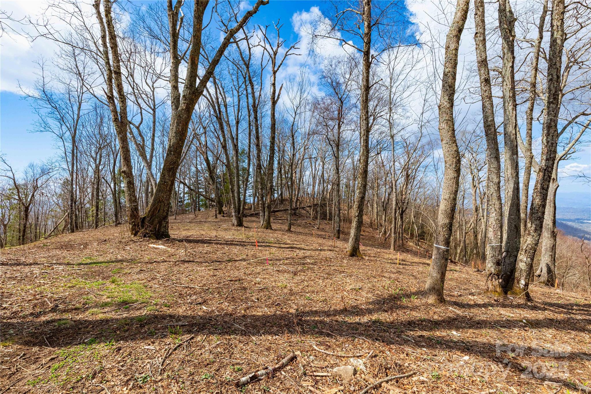 703 Fairview Forest Drive Unit: 2