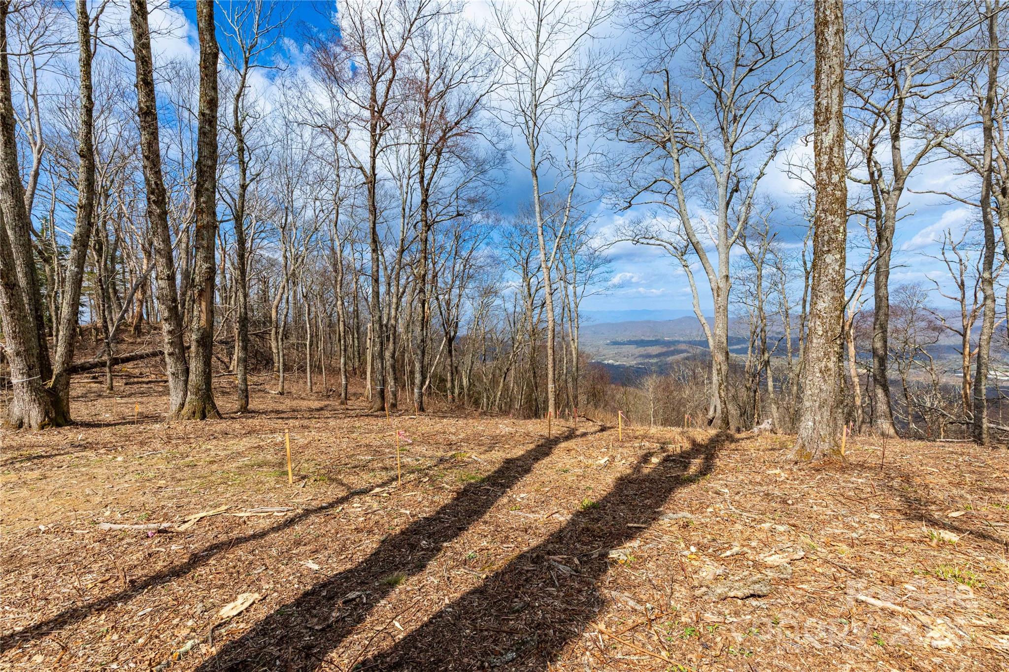 703 Fairview Forest Drive Unit: 2