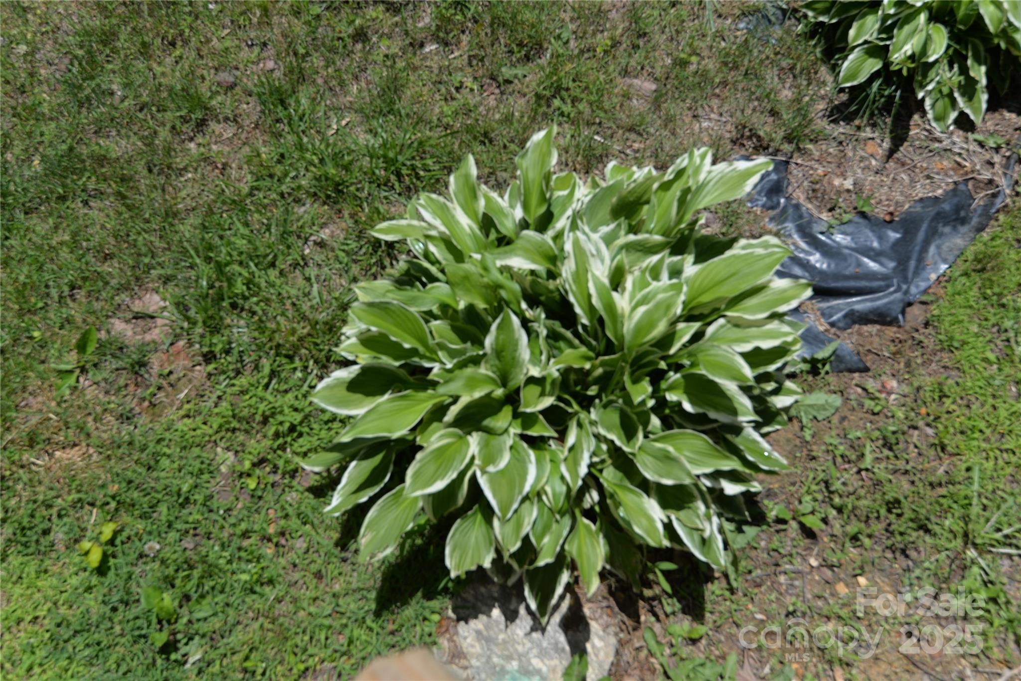 280 Fletcher View Drive