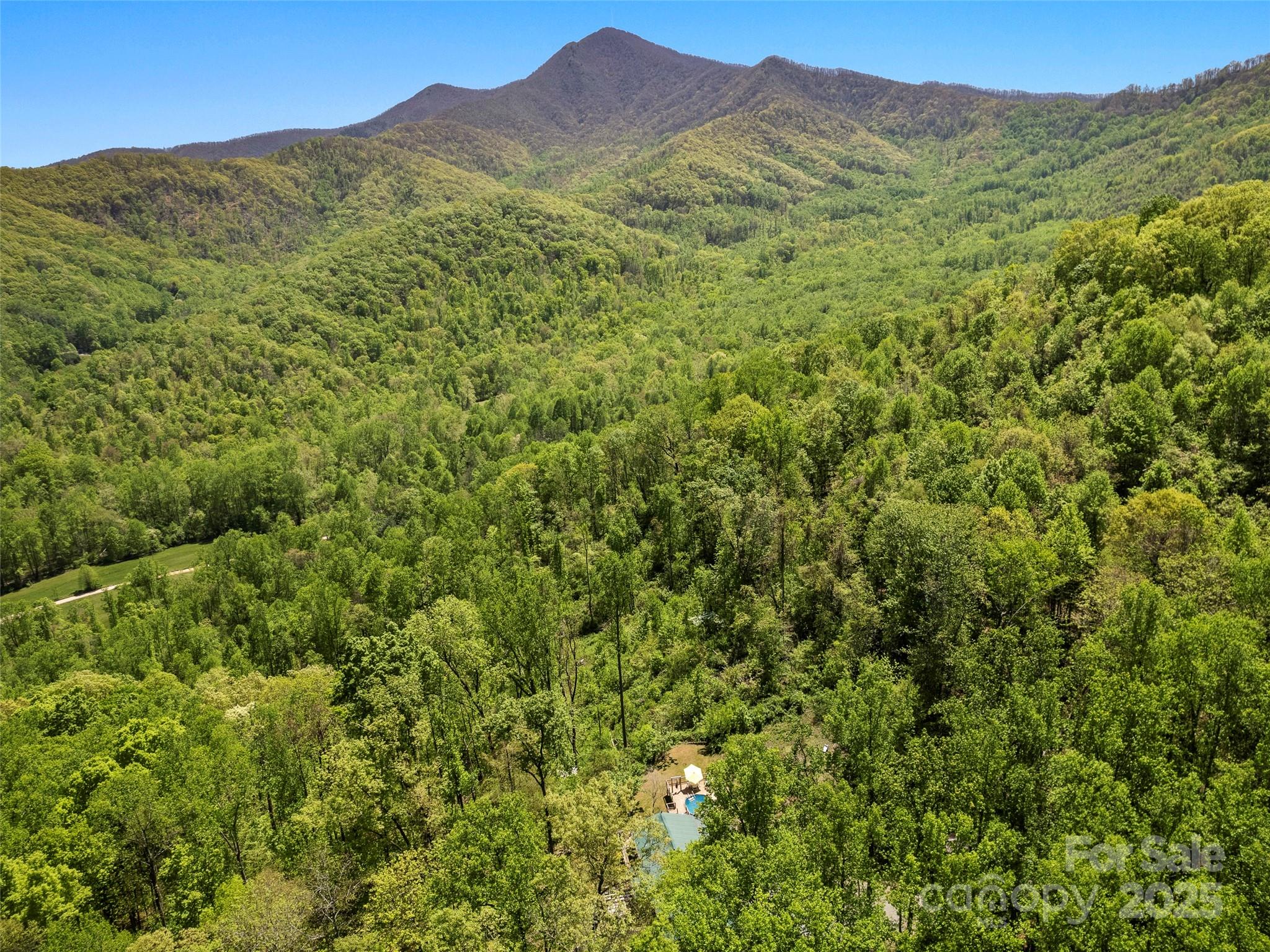 44 Sutton Knob Road