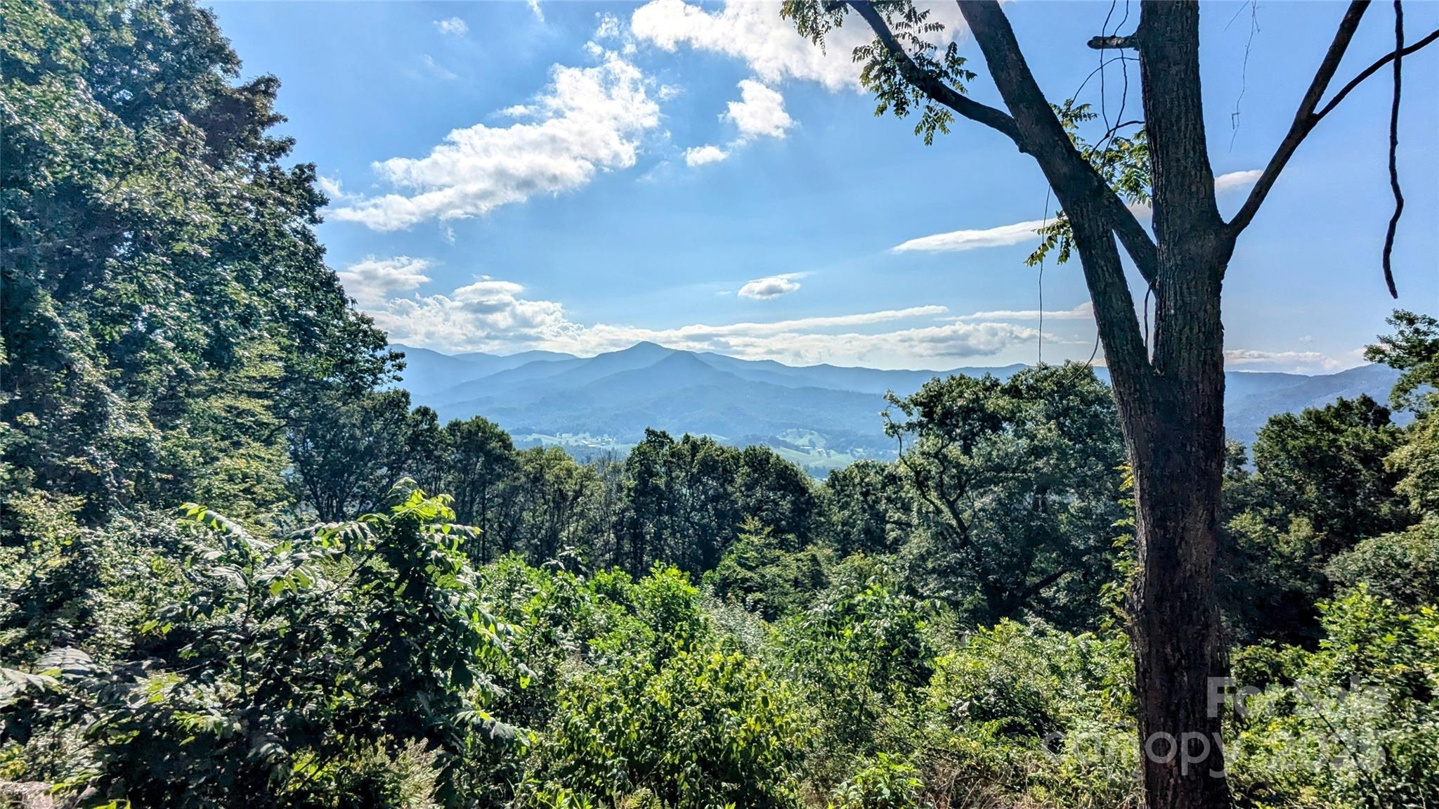 394 Aubrey Trail