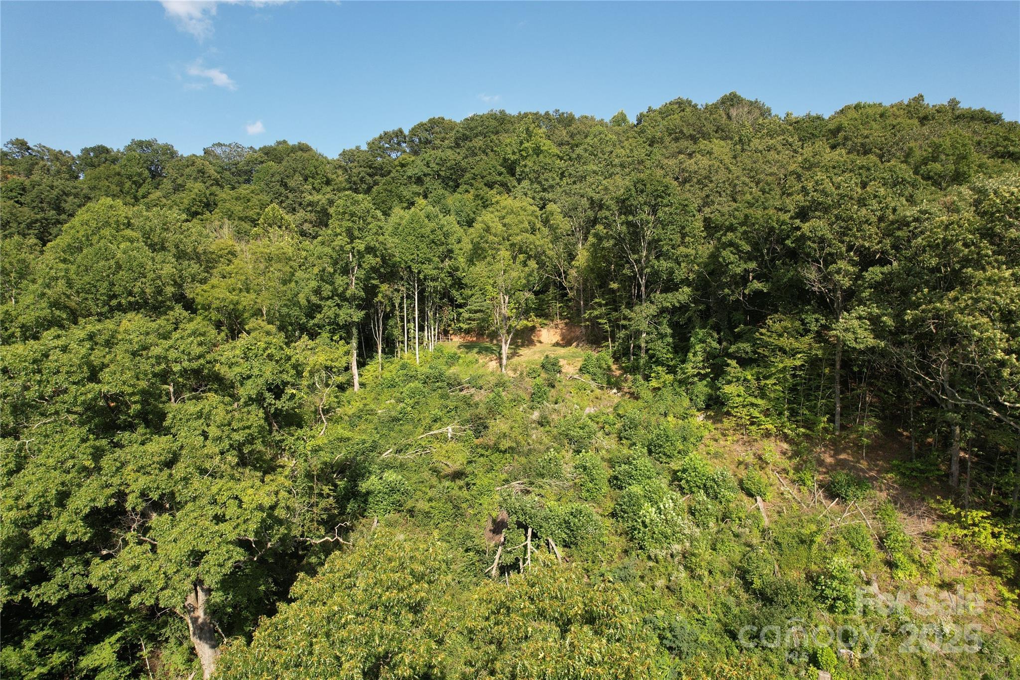 394 Aubrey Trail