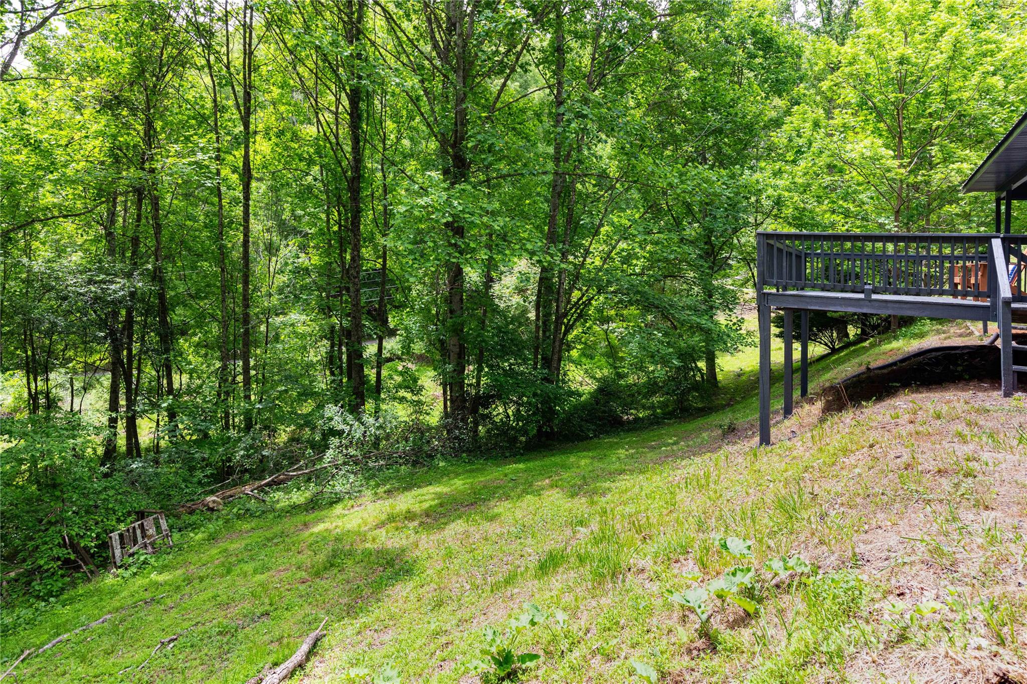 214 Hidden Creek Lane
