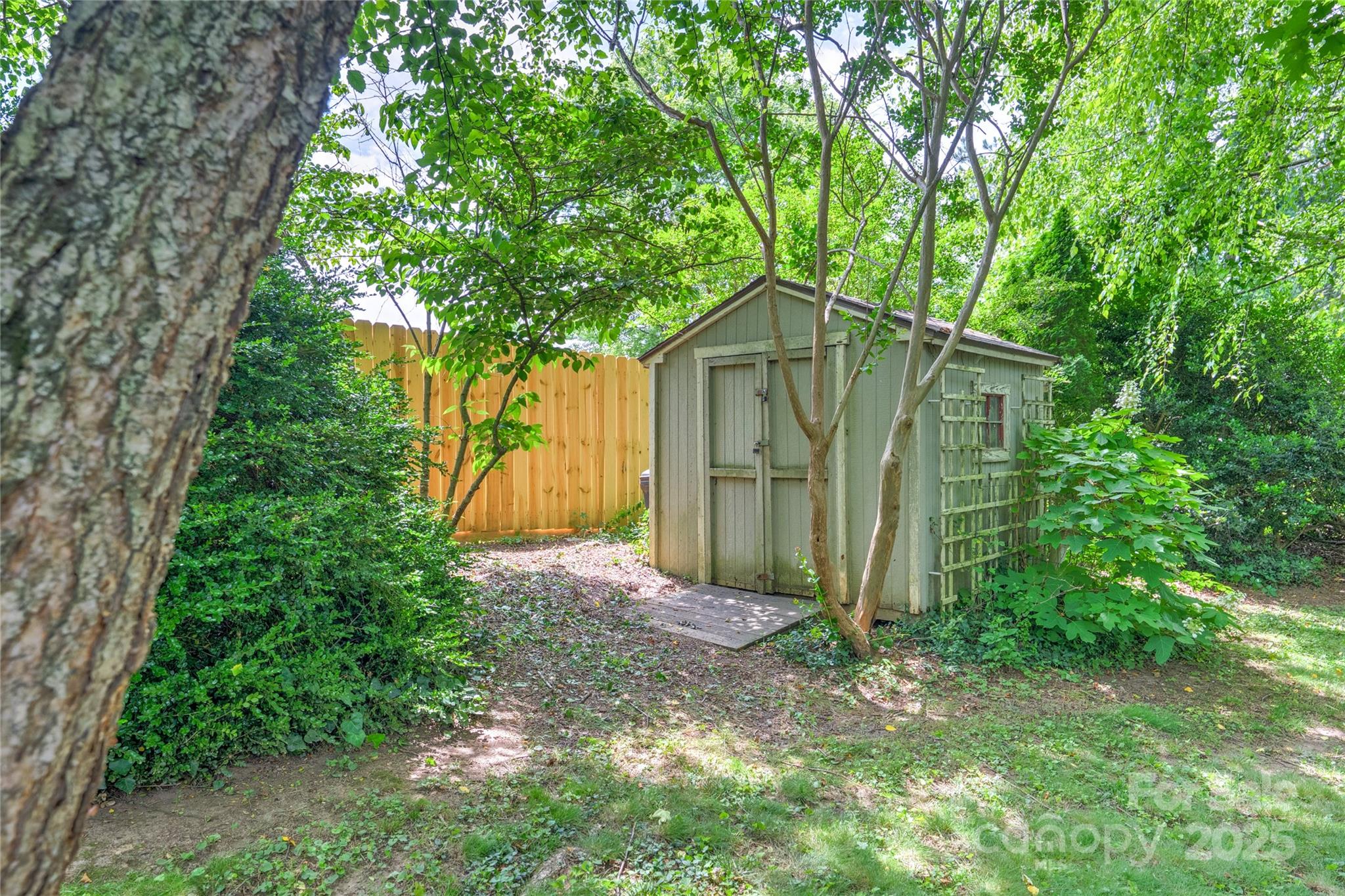 50 Wanoca Avenue