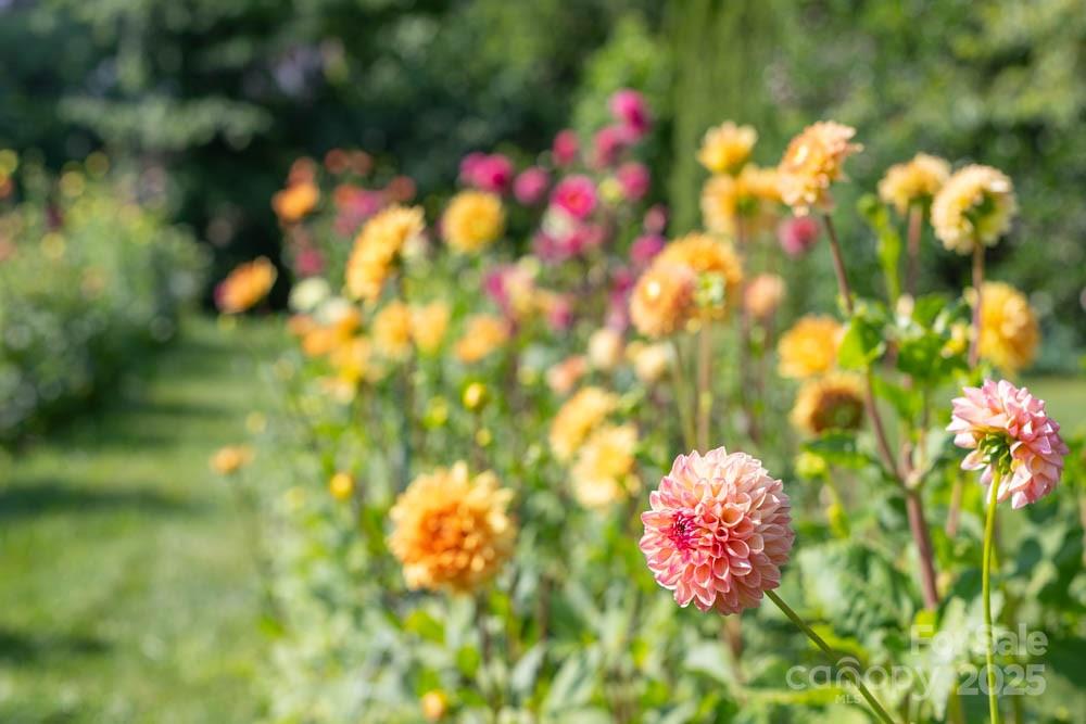 162 Martin Branch Road