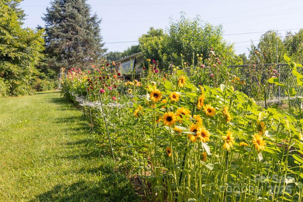 162 Martin Branch Road