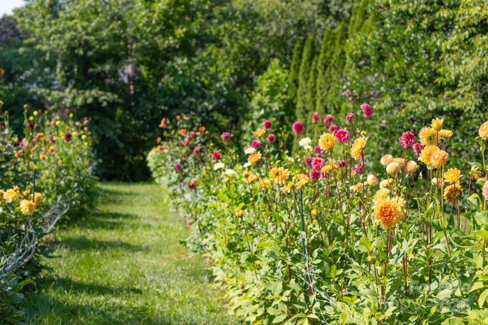 162 Martin Branch Road