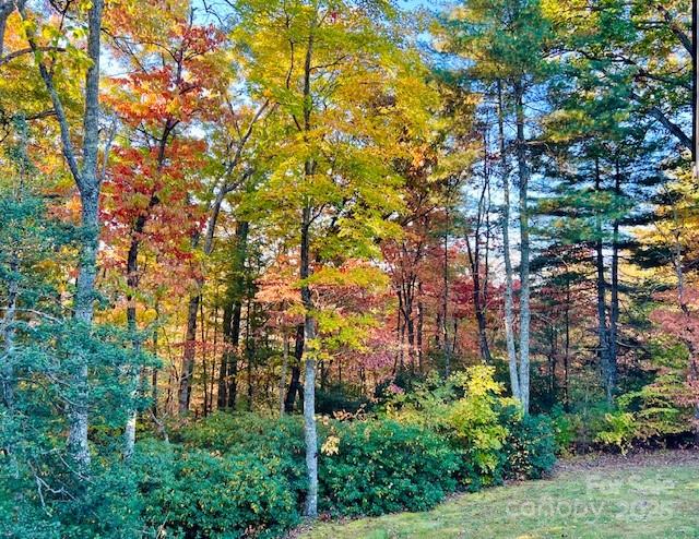 446 Charming Lane