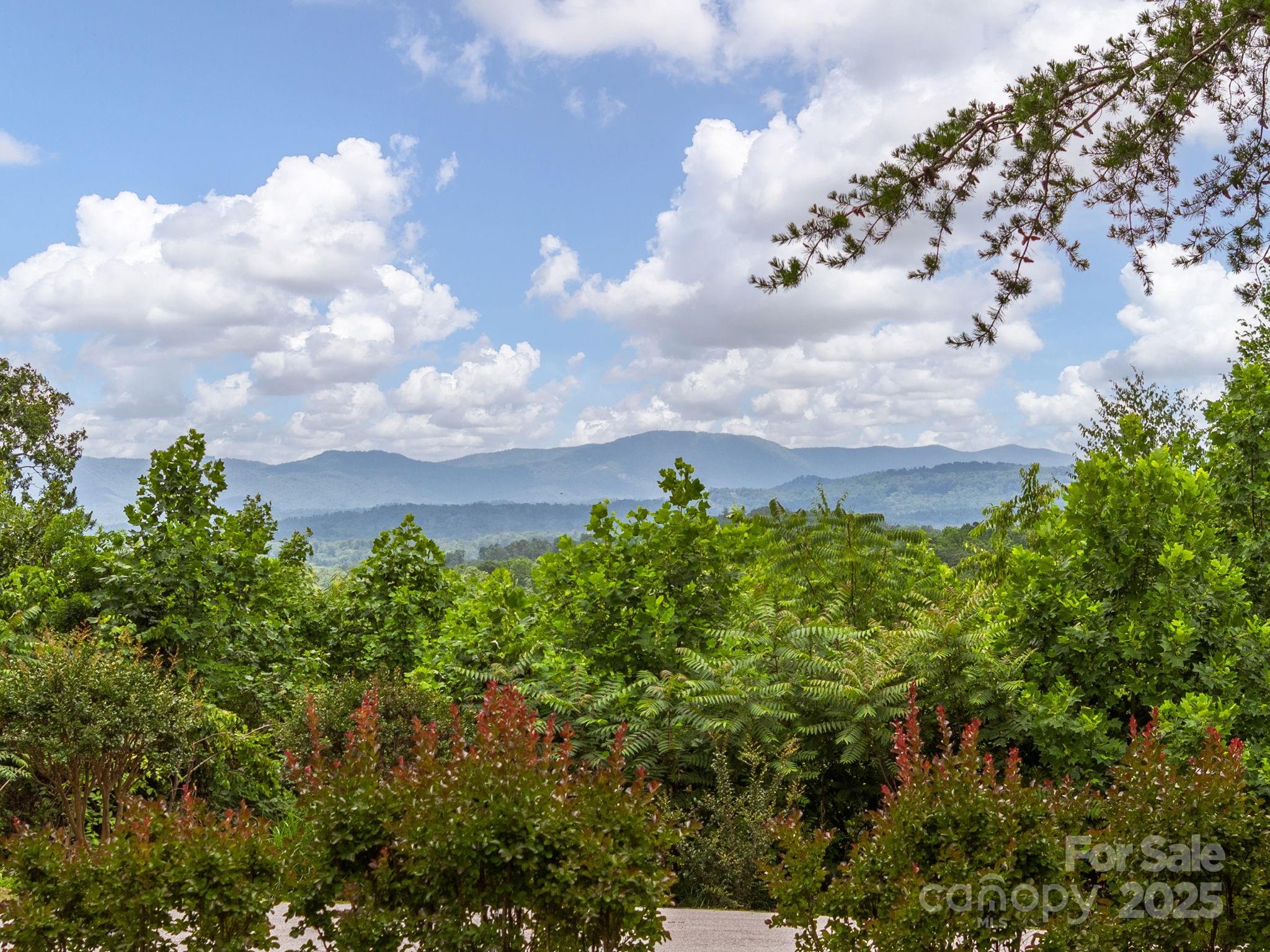 446 Charming Lane