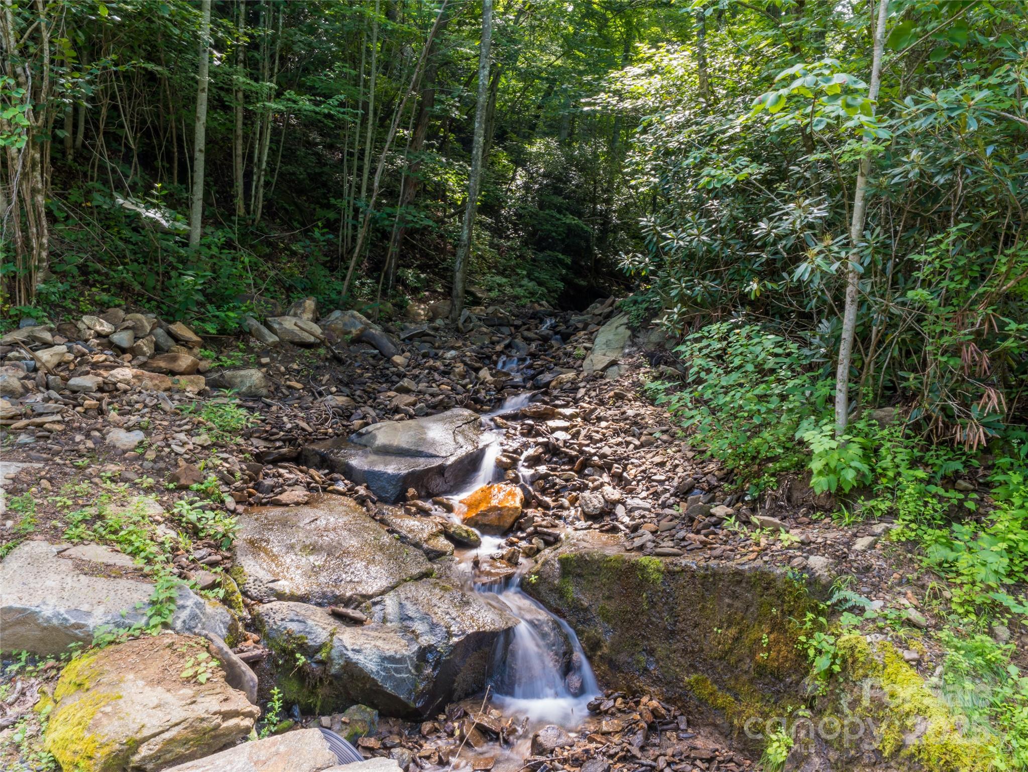 99999 Arborcrest Way Unit: 41