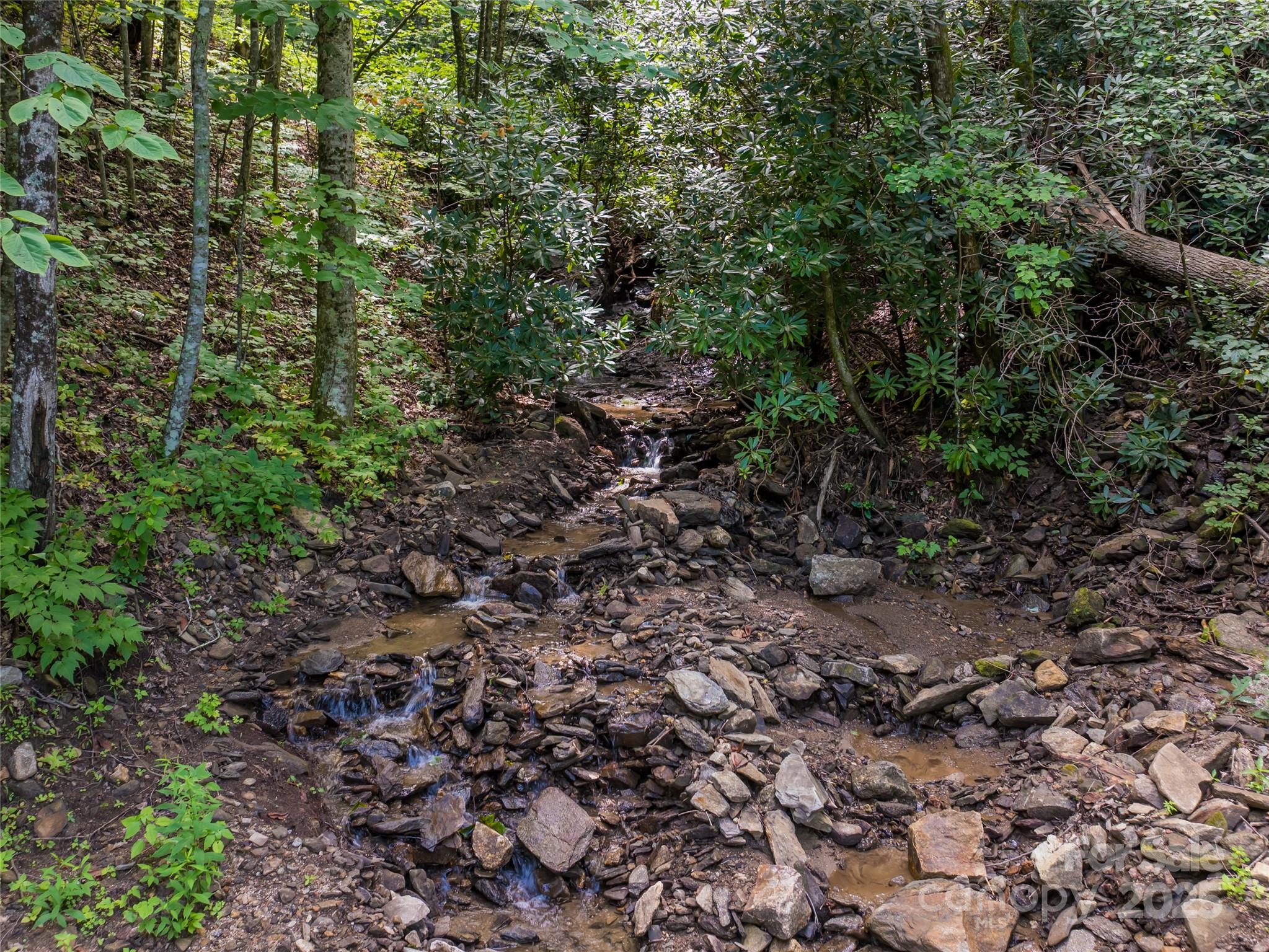 99999 Arborcrest Way Unit: 41