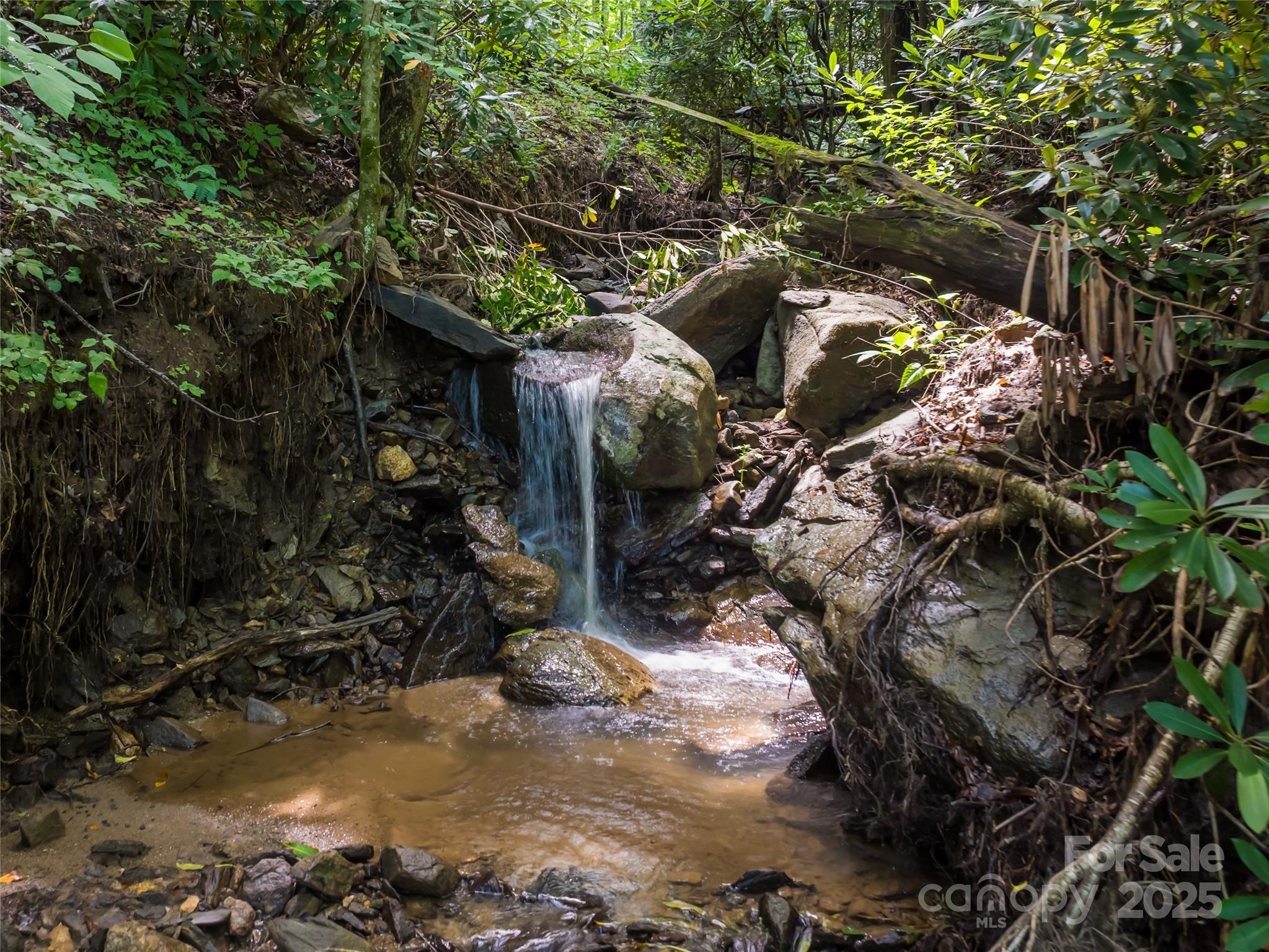 99999 Arborcrest Way Unit: 41