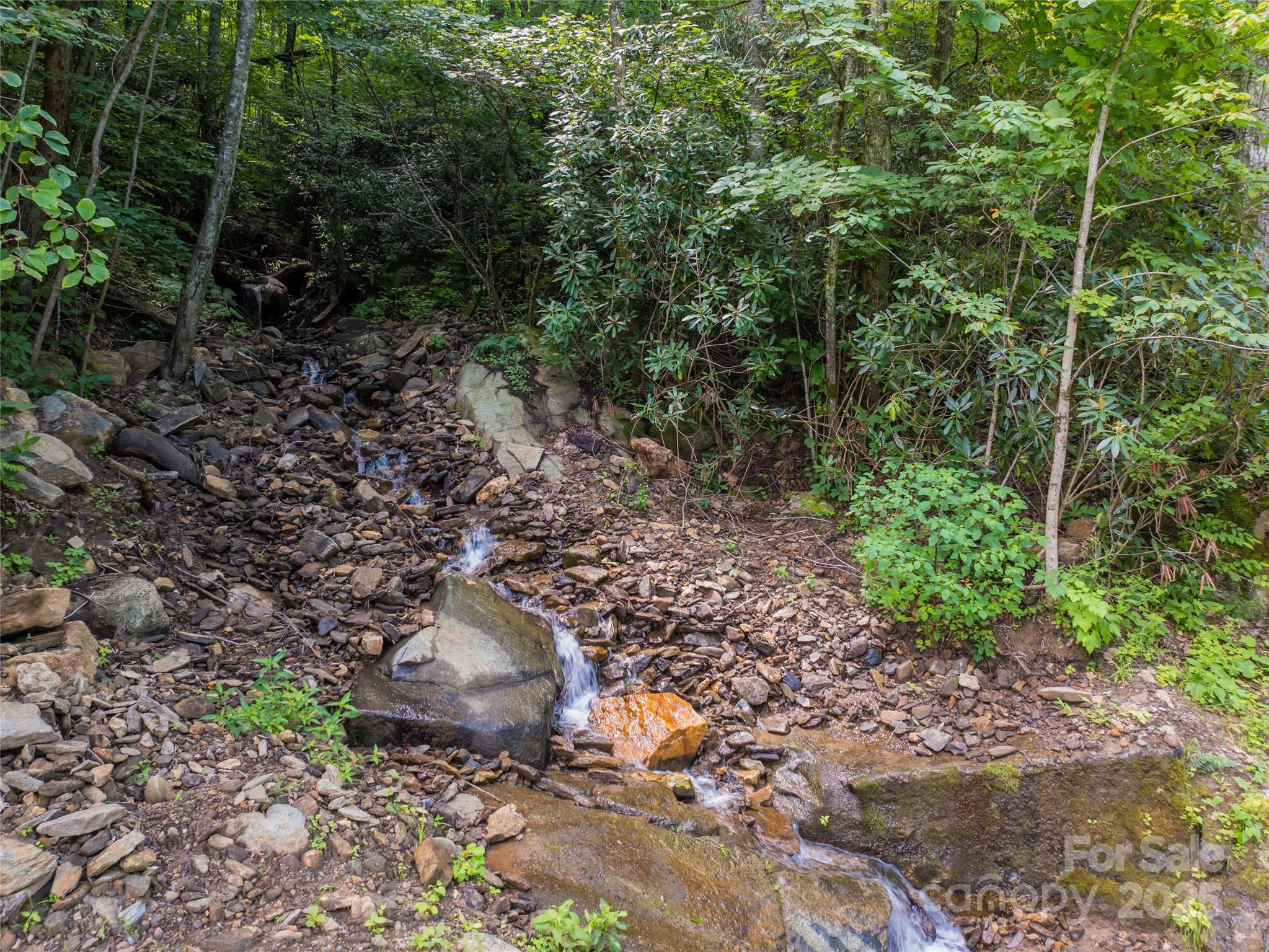 99999 Arborcrest Way Unit: 41