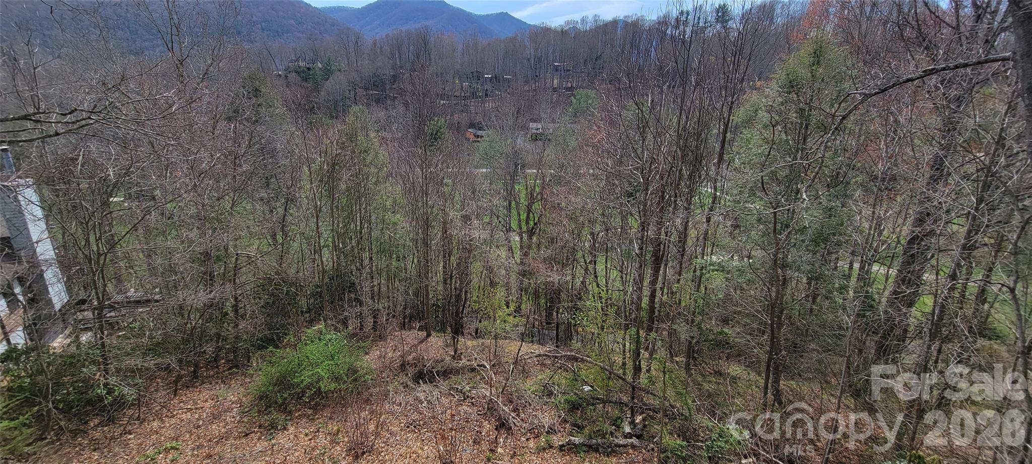 99999 Maplewood Drive