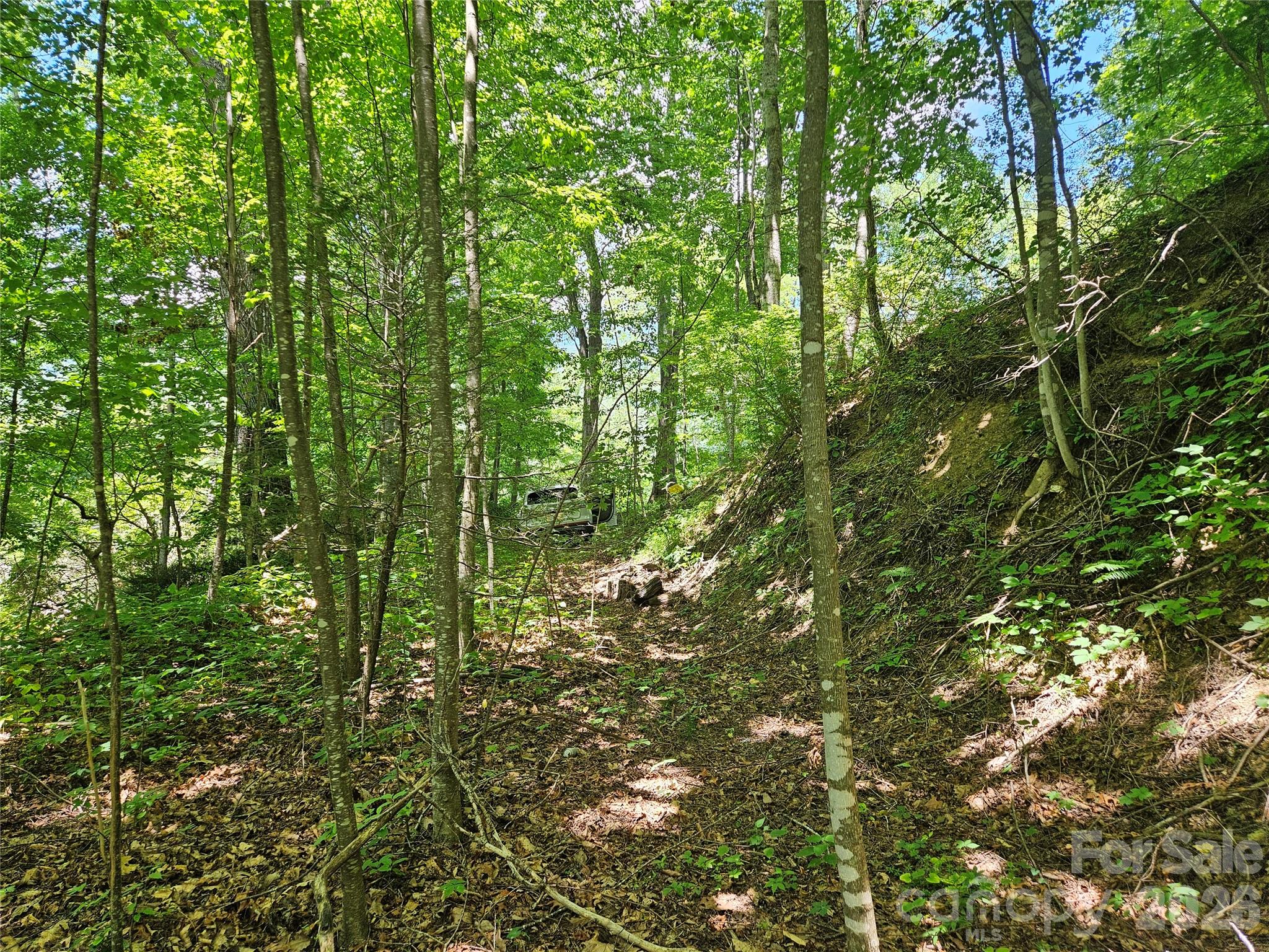 99999 Maplewood Drive