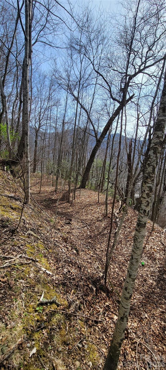 99999 Maplewood Drive