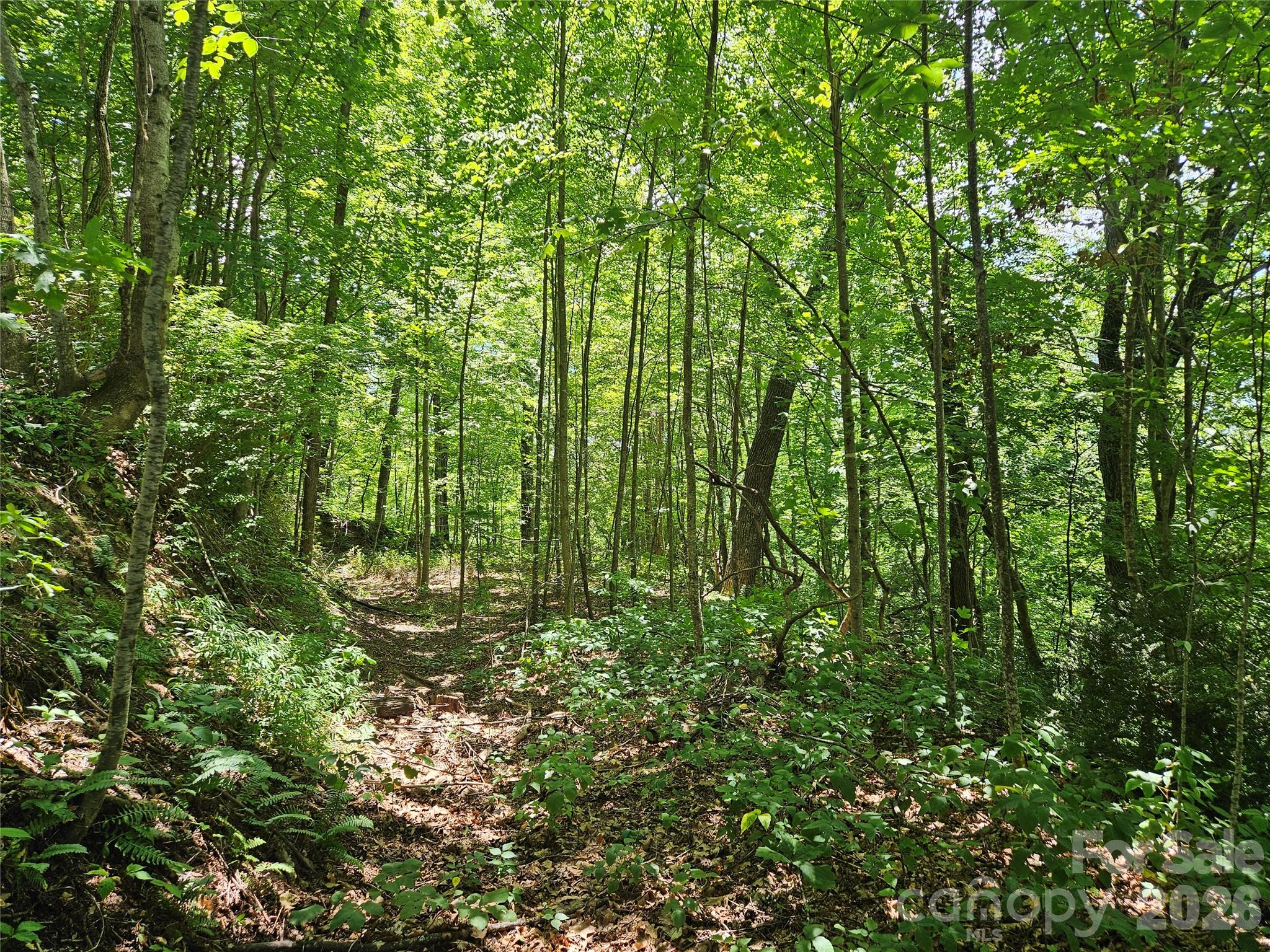 99999 Maplewood Drive