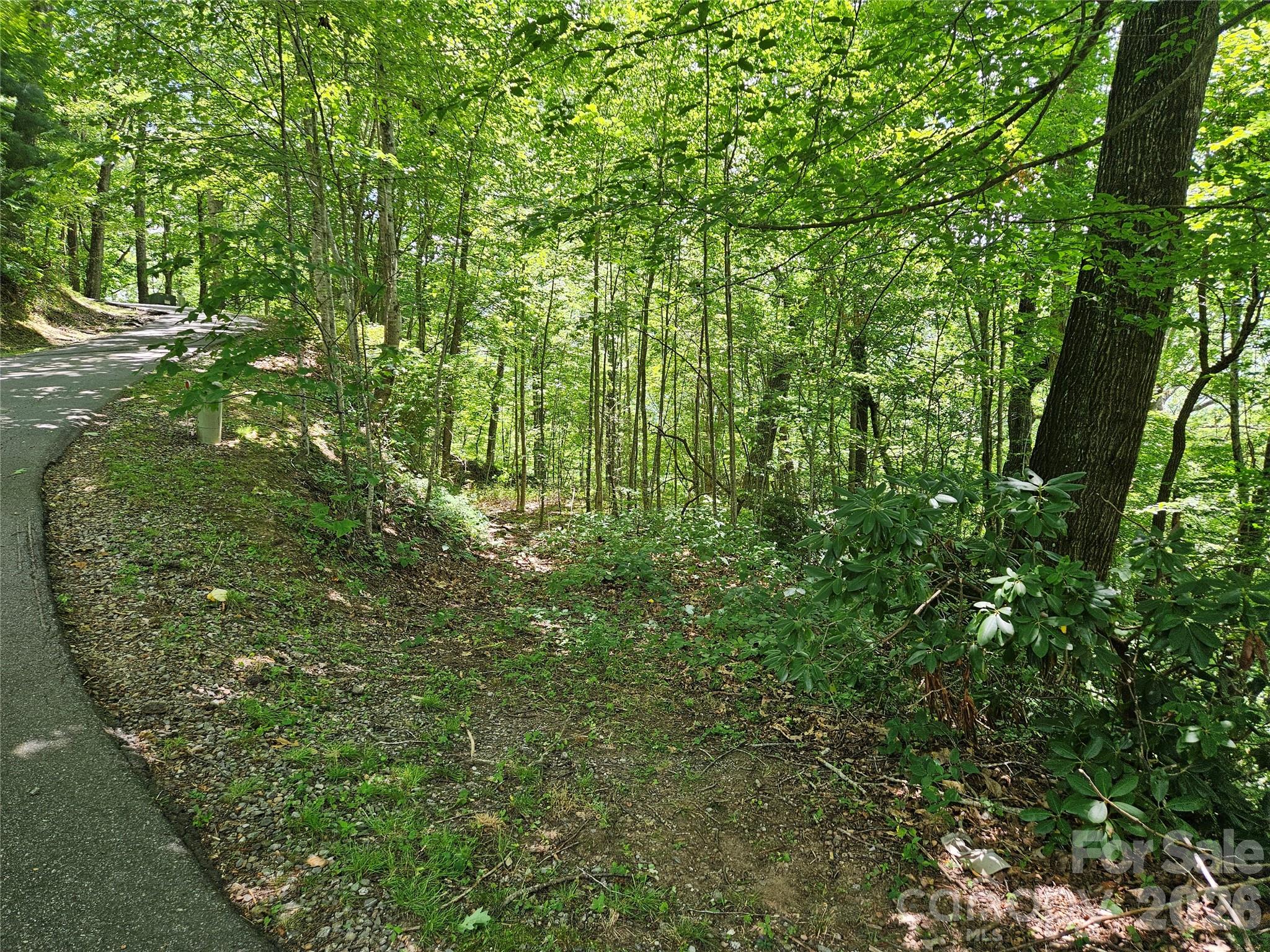 99999 Maplewood Drive