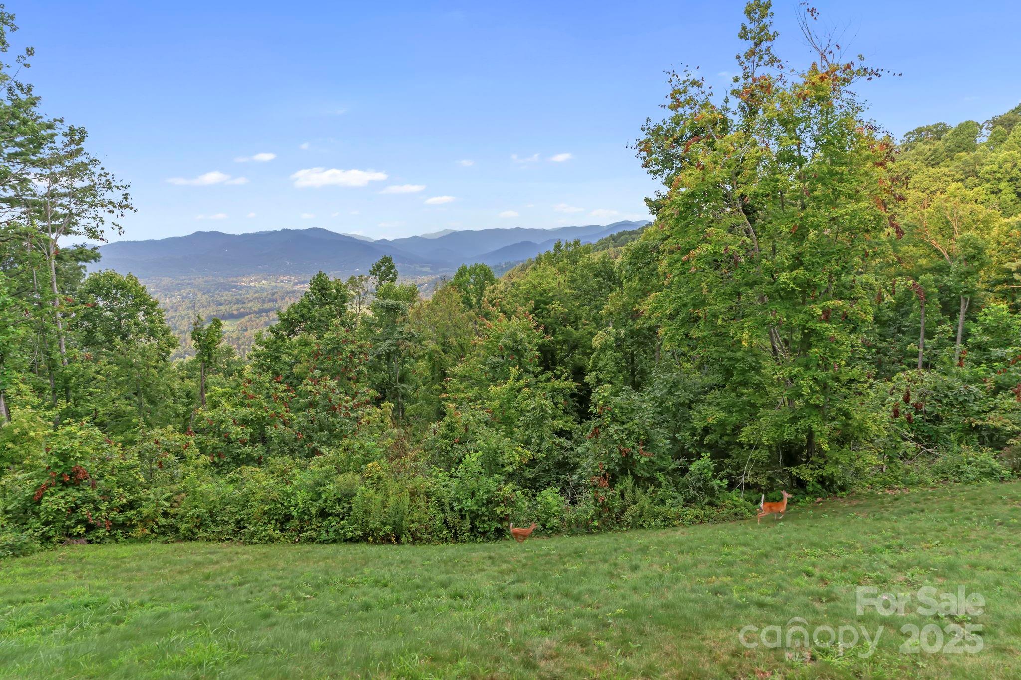 55 Katies Ridge Drive