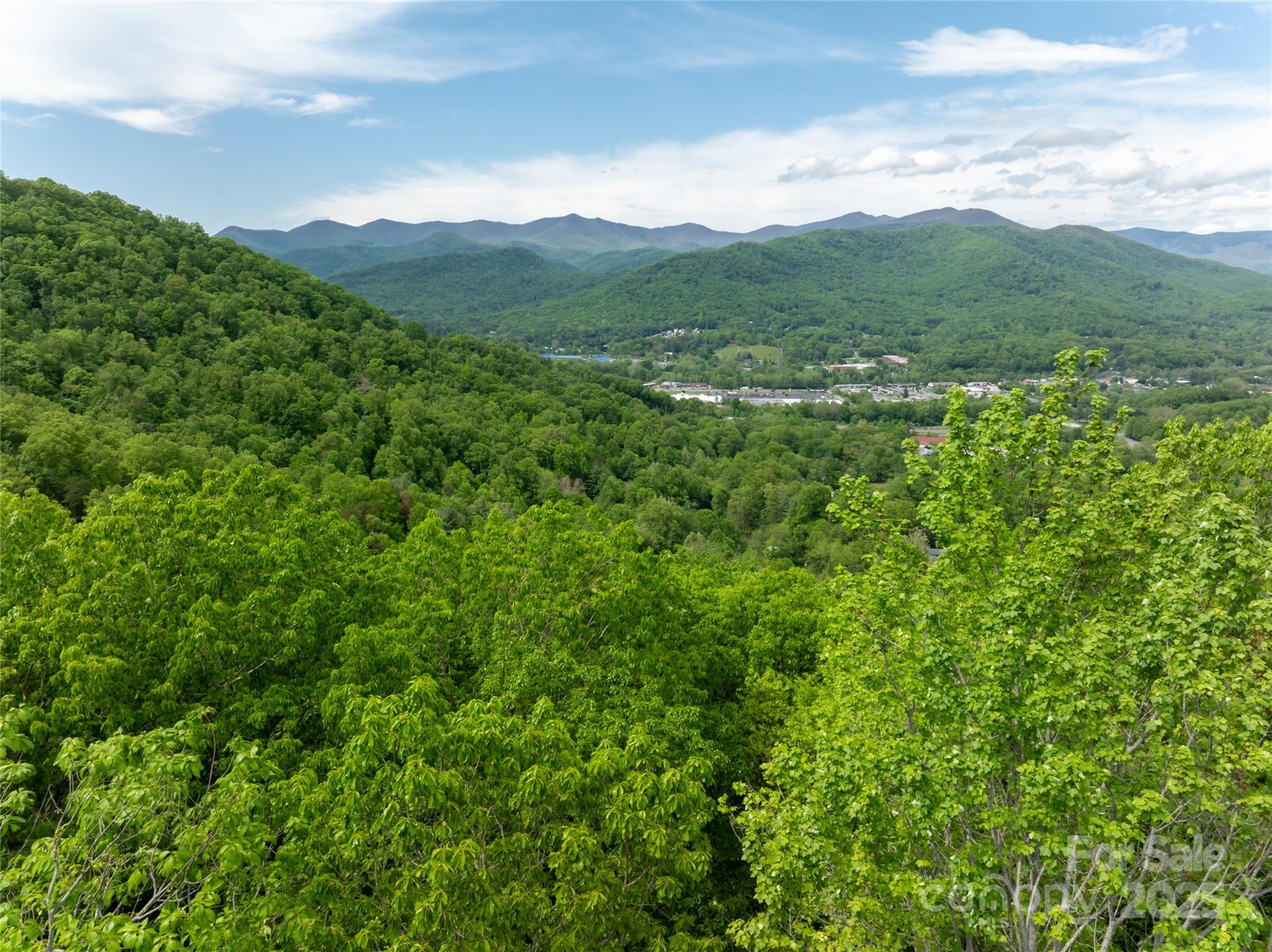 1111 Elm Tree Lane