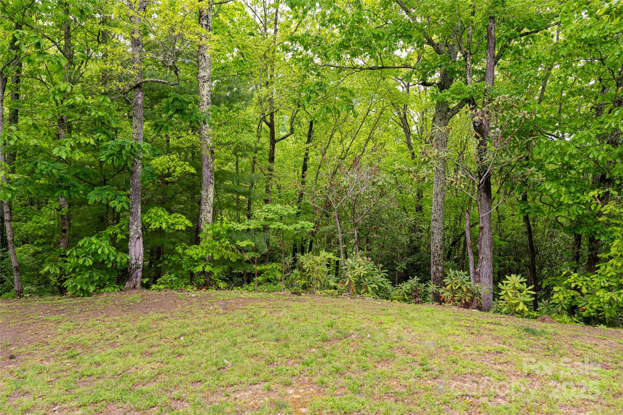 1111 Elm Tree Lane