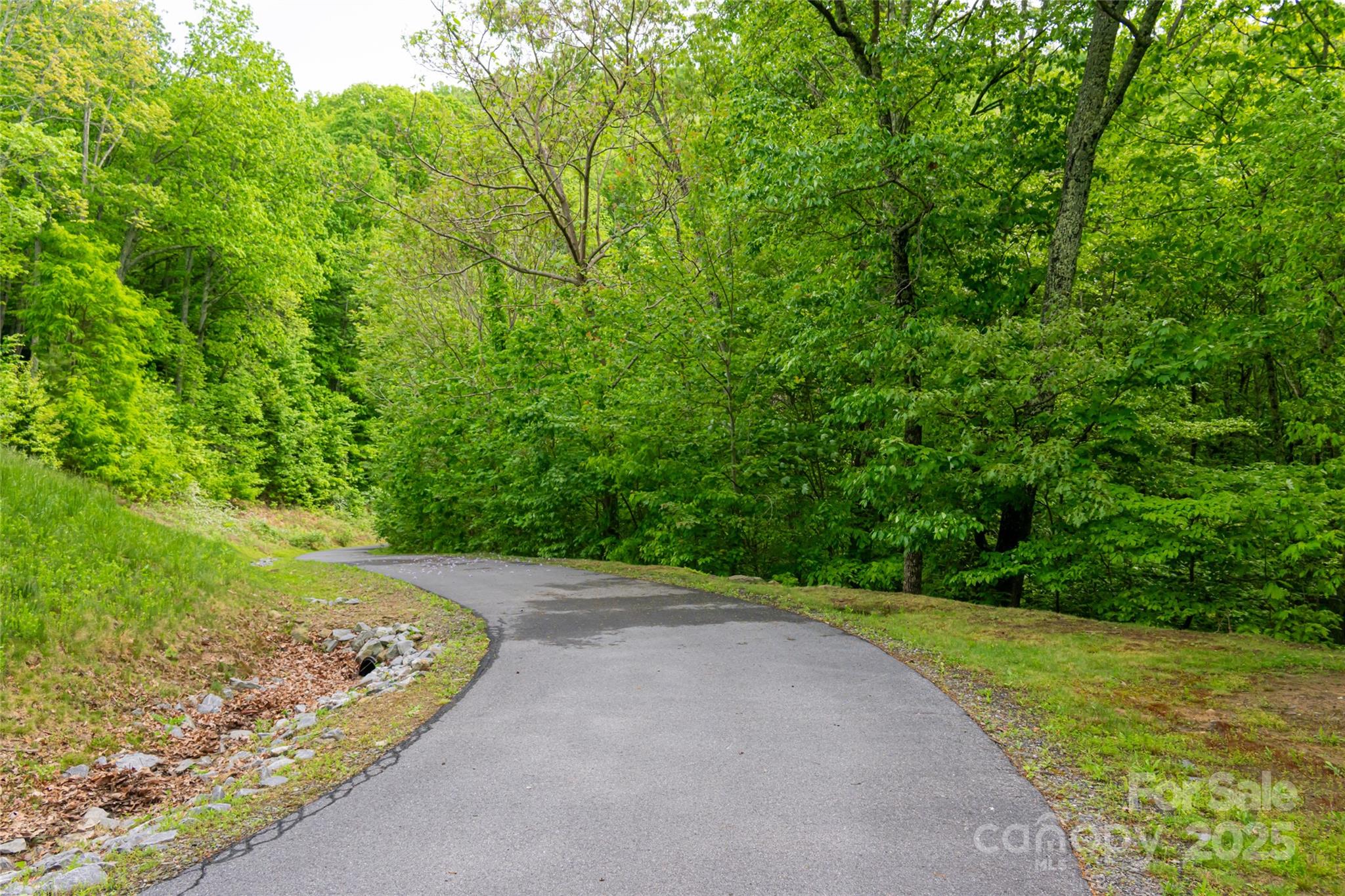 1111 Elm Tree Lane