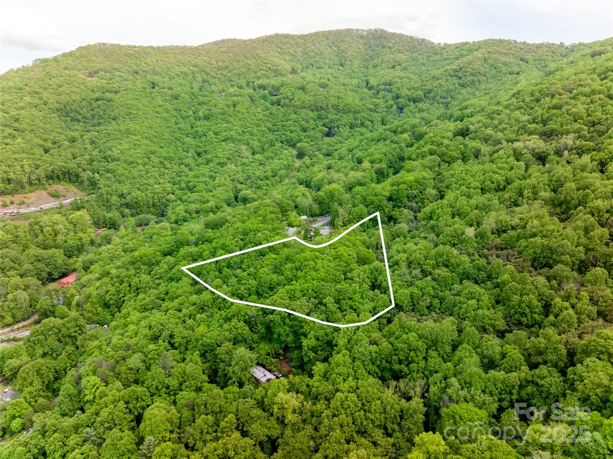 1111 Elm Tree Lane