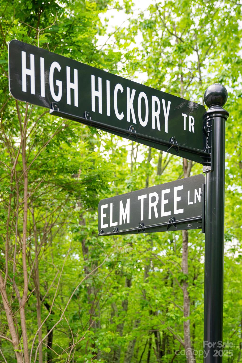 1111 Elm Tree Lane
