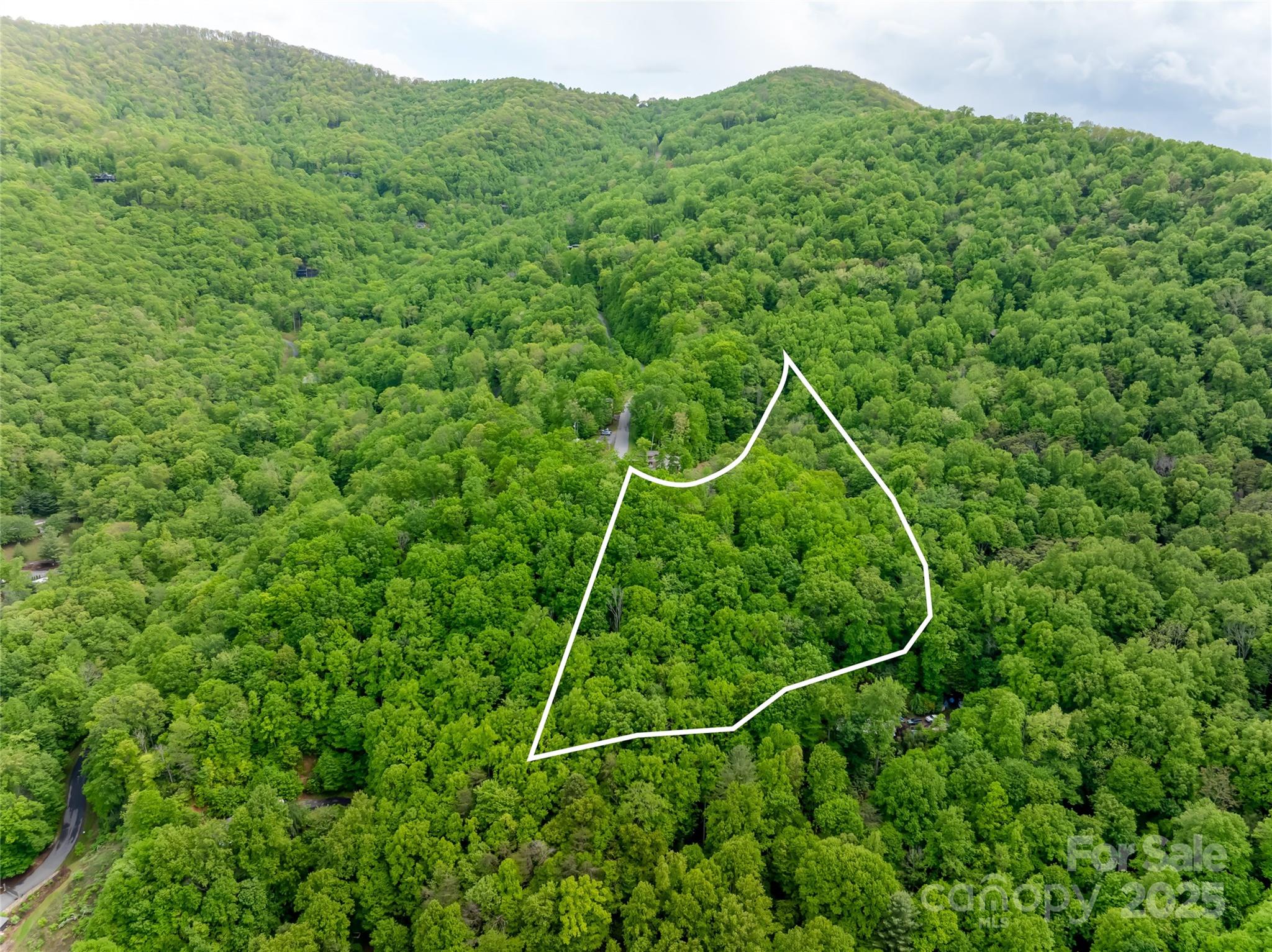 1111 Elm Tree Lane