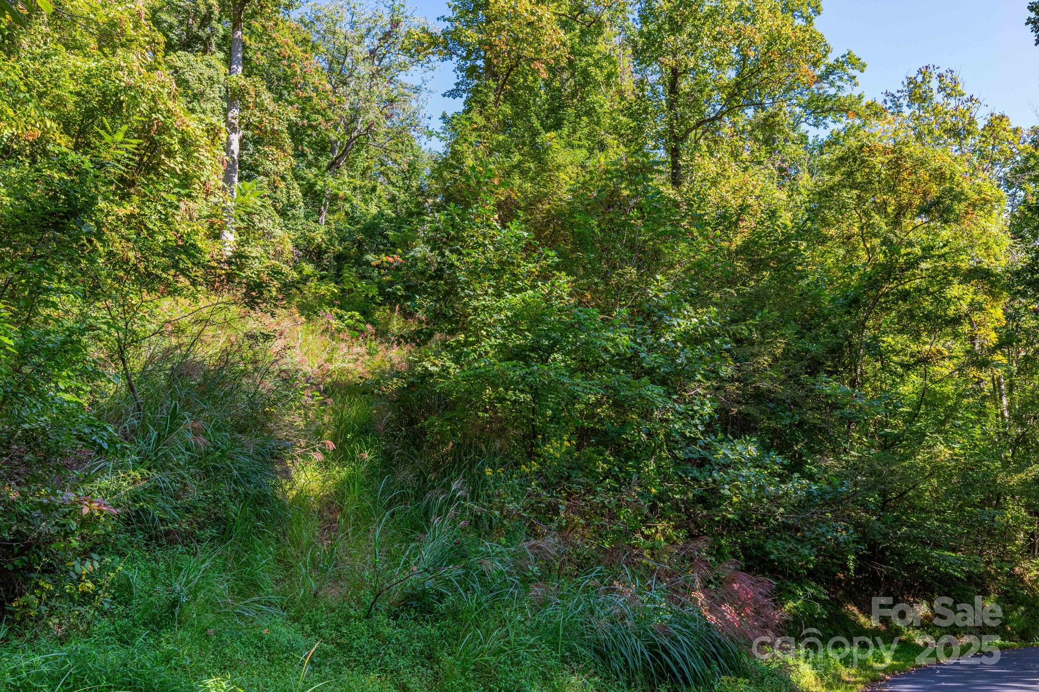 300 Running Deer Lane Unit: 70