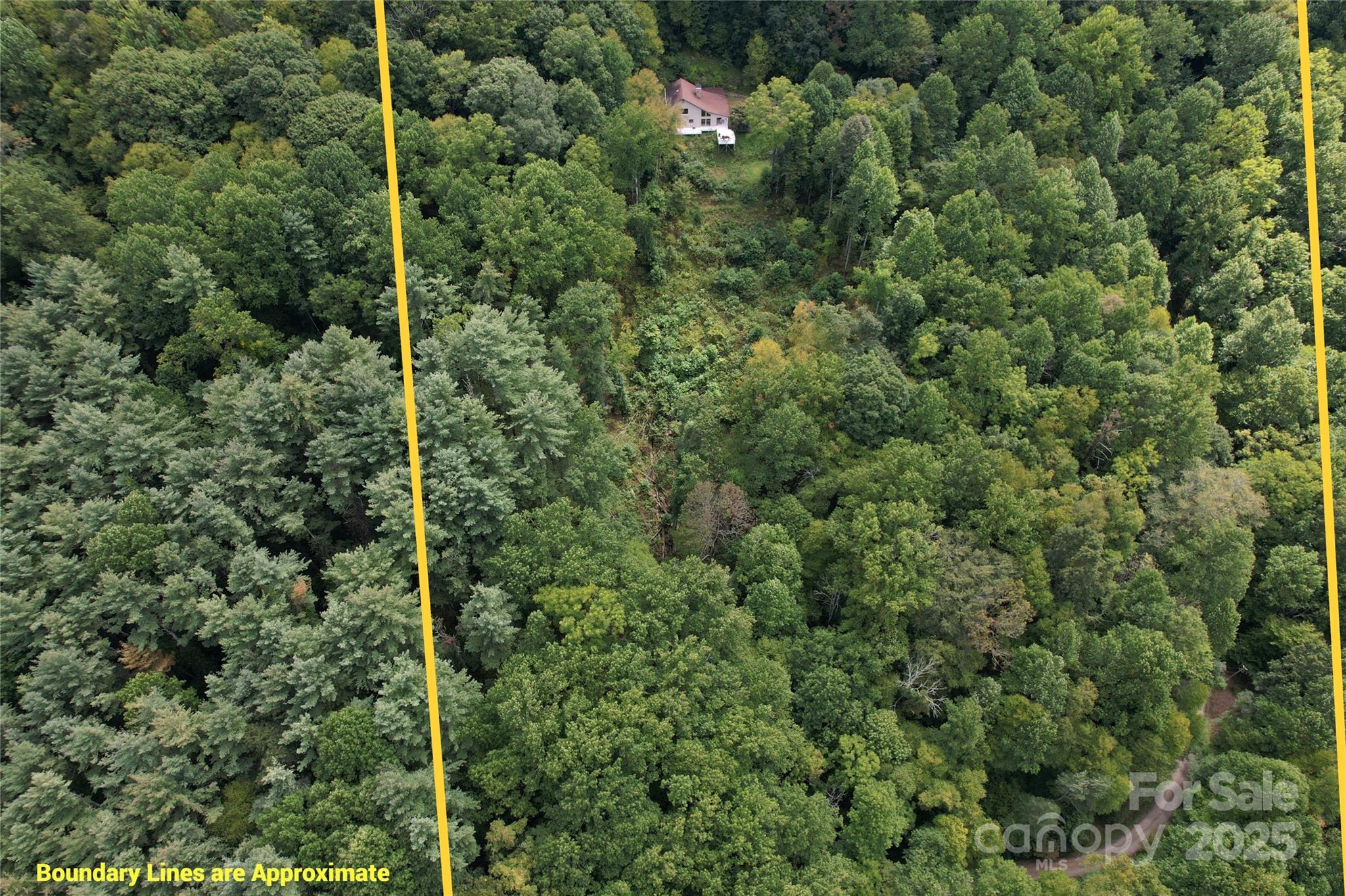 1299 Burnette Cove Road