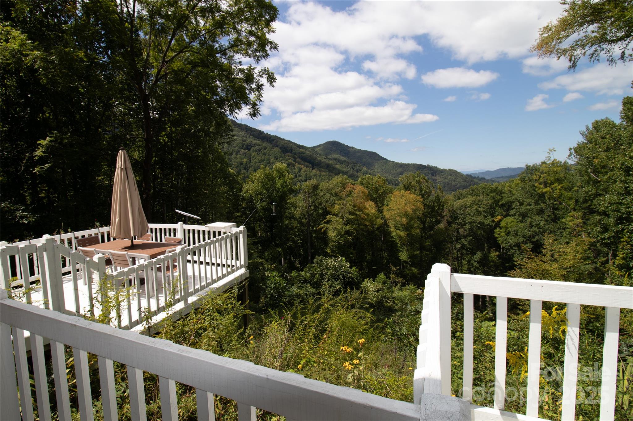 1299 Burnette Cove Road