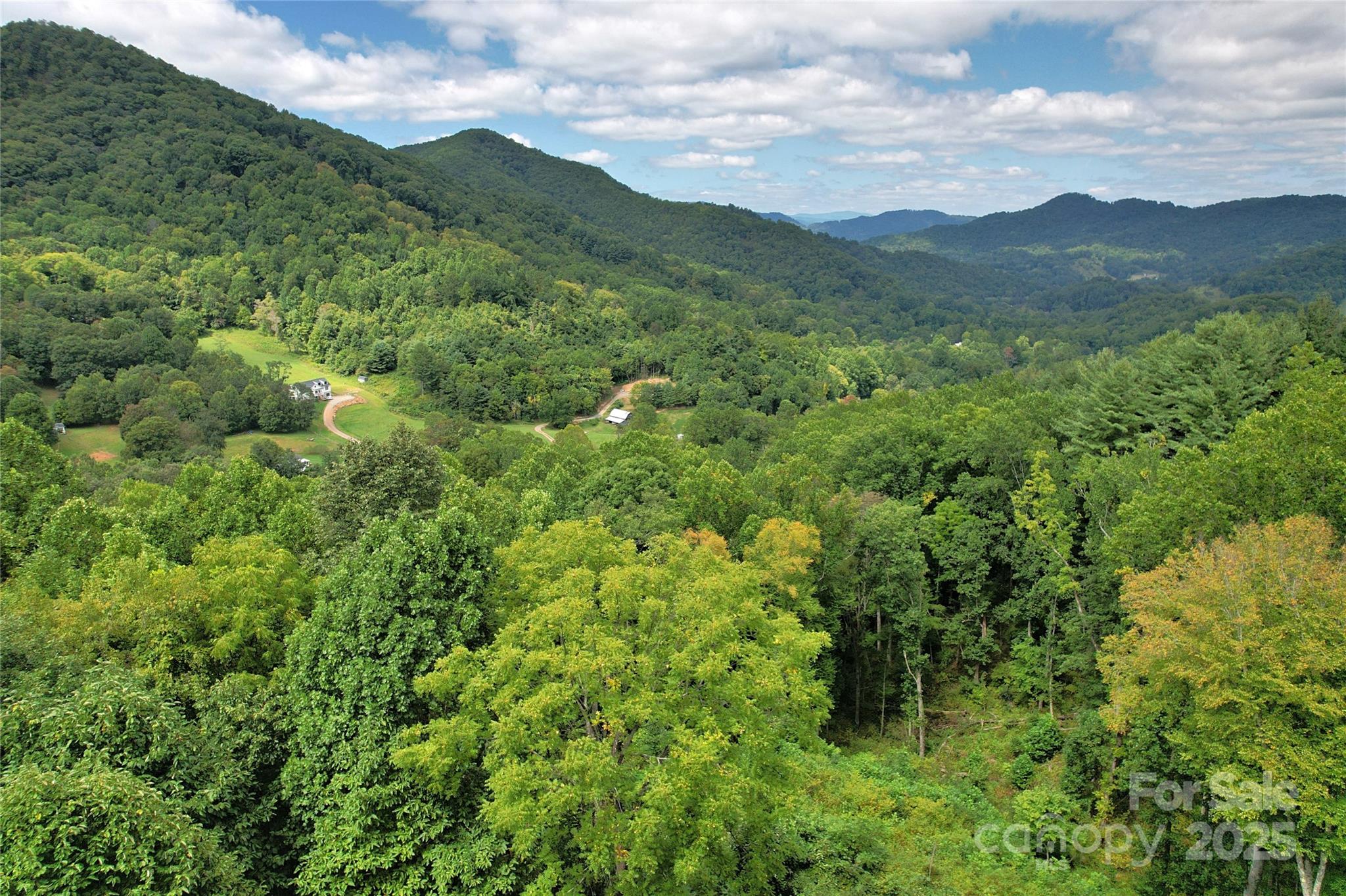 1299 Burnette Cove Road