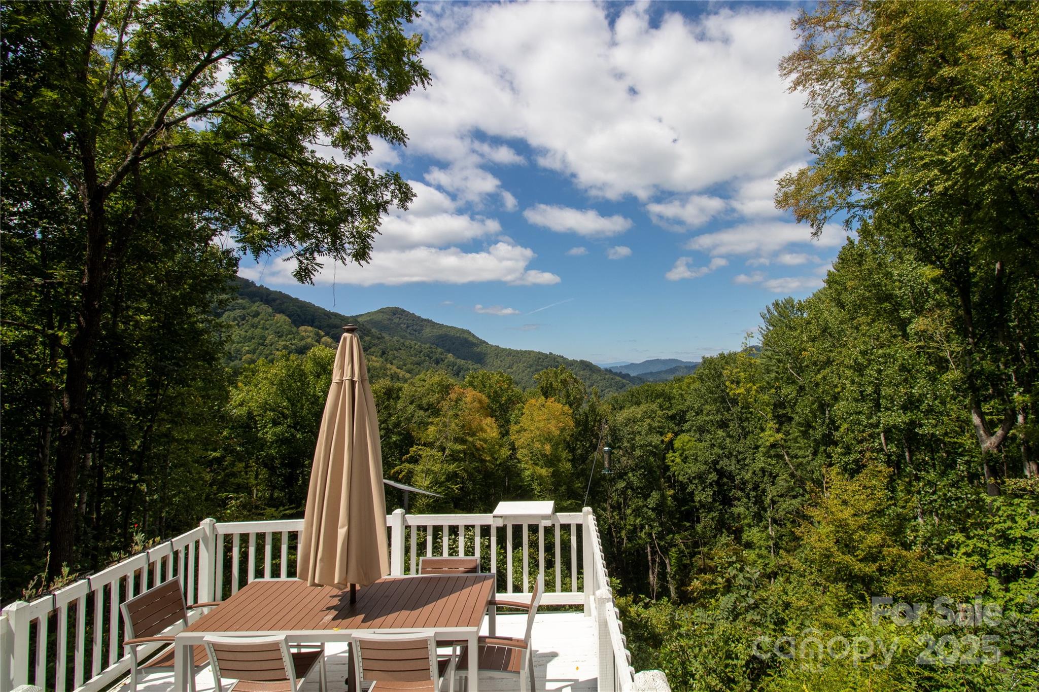 1299 Burnette Cove Road