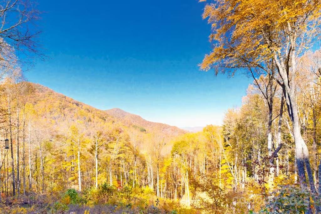 1299 Burnette Cove Road