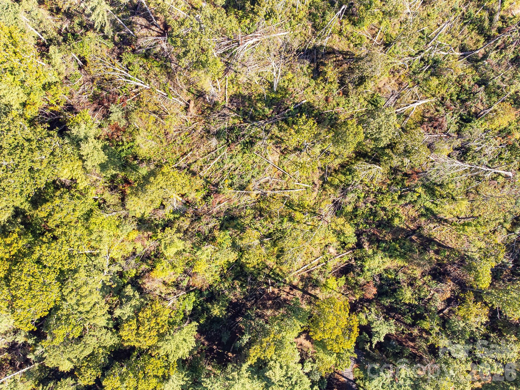 99999 Beaverbrook Road Unit: 2