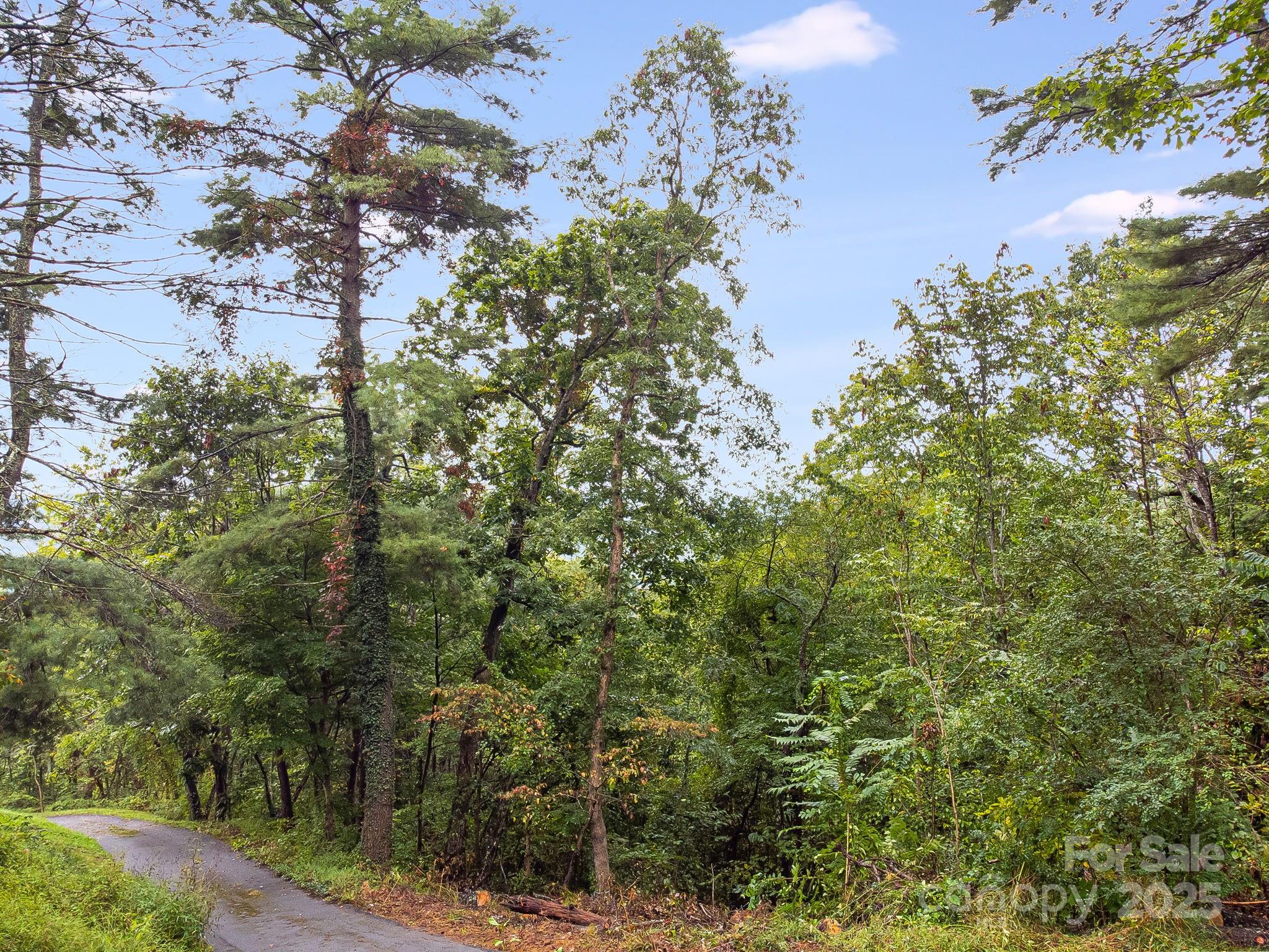 99999 Beaverbrook Road Unit: 2