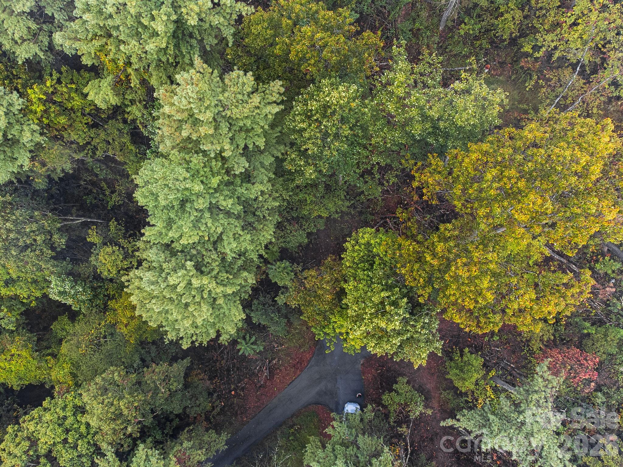 99999 Beaverbrook Road Unit: 2