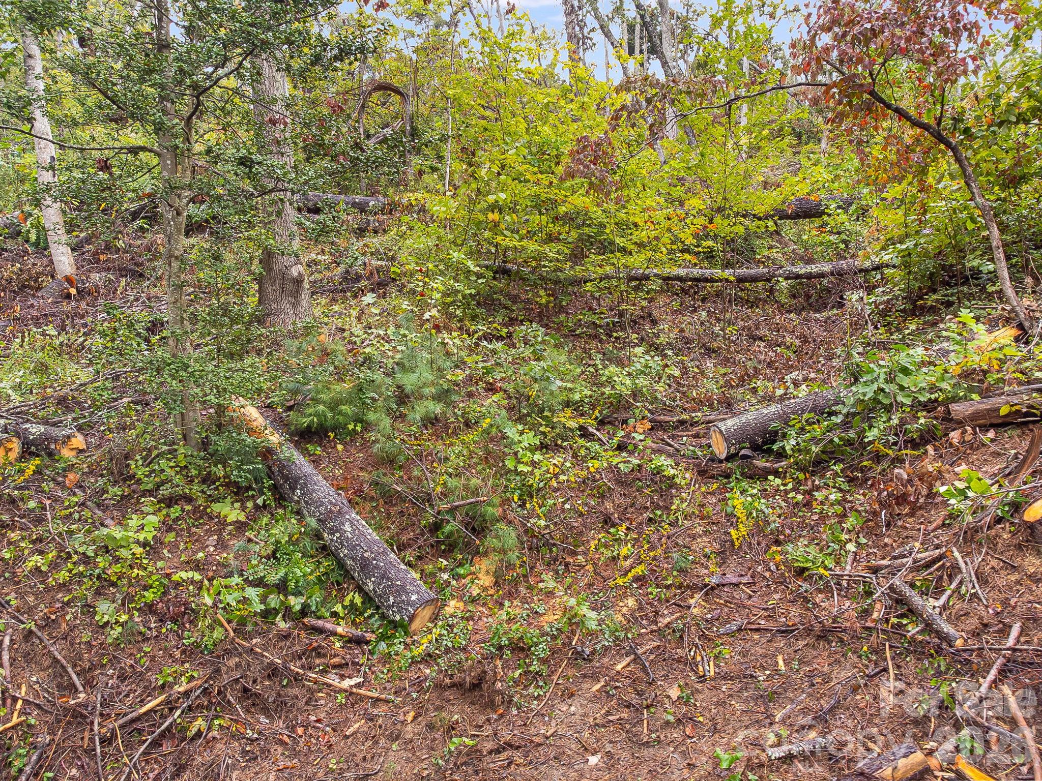 99999 Beaverbrook Road Unit: 2