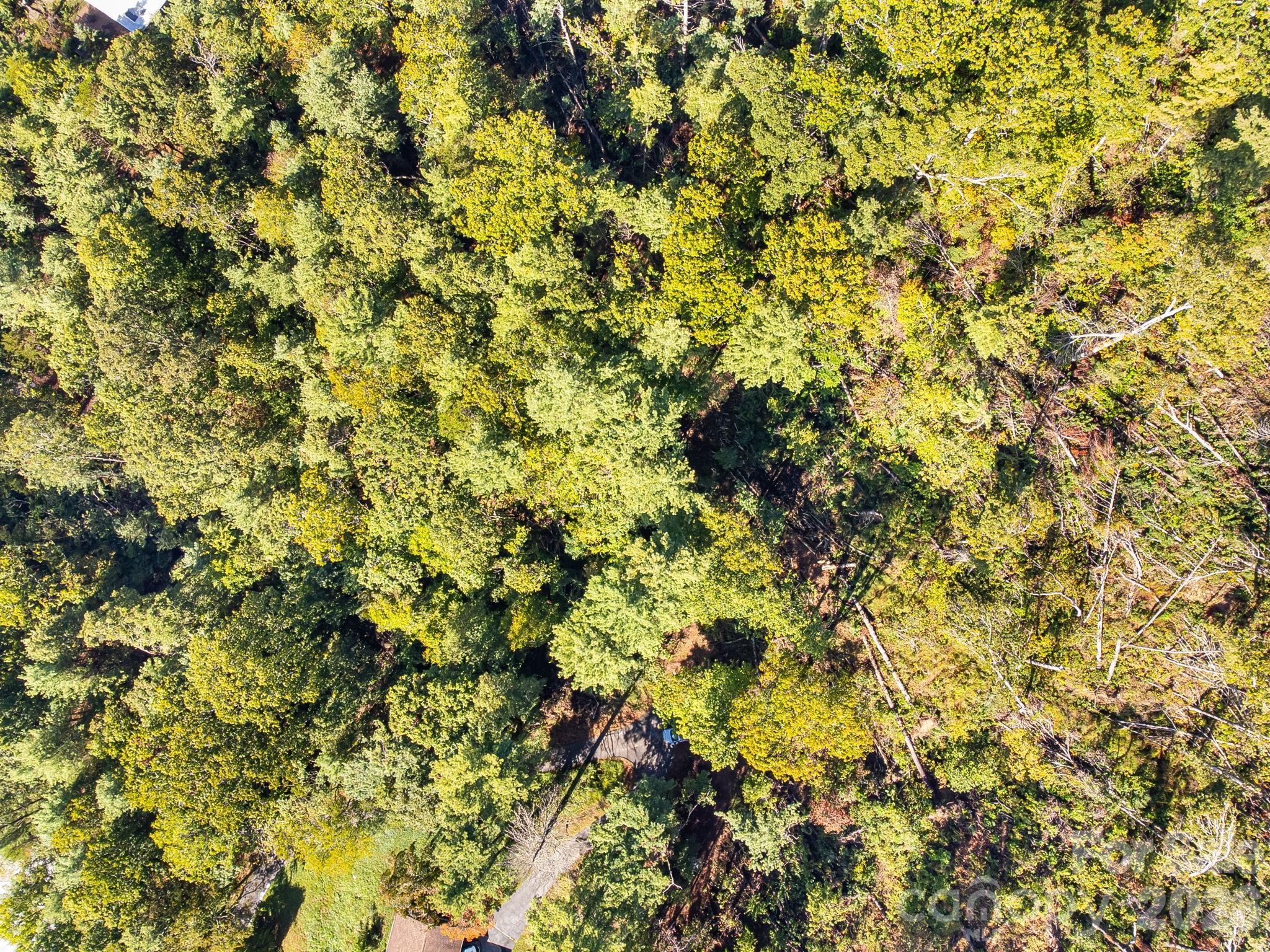 99999 Beaverbrook Road Unit: 2