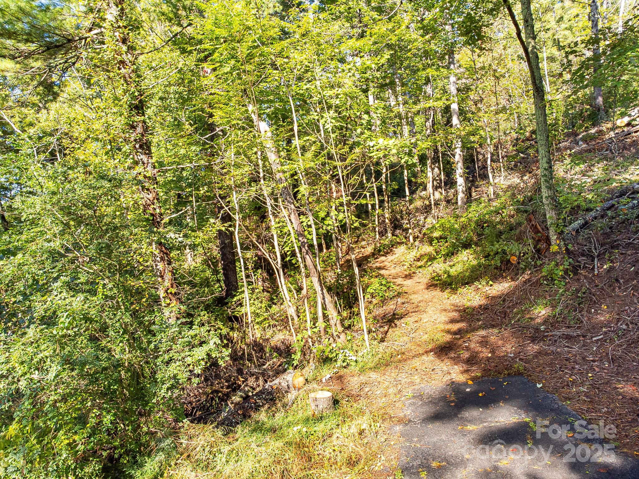 99999 Beaverbrook Road Unit: 2