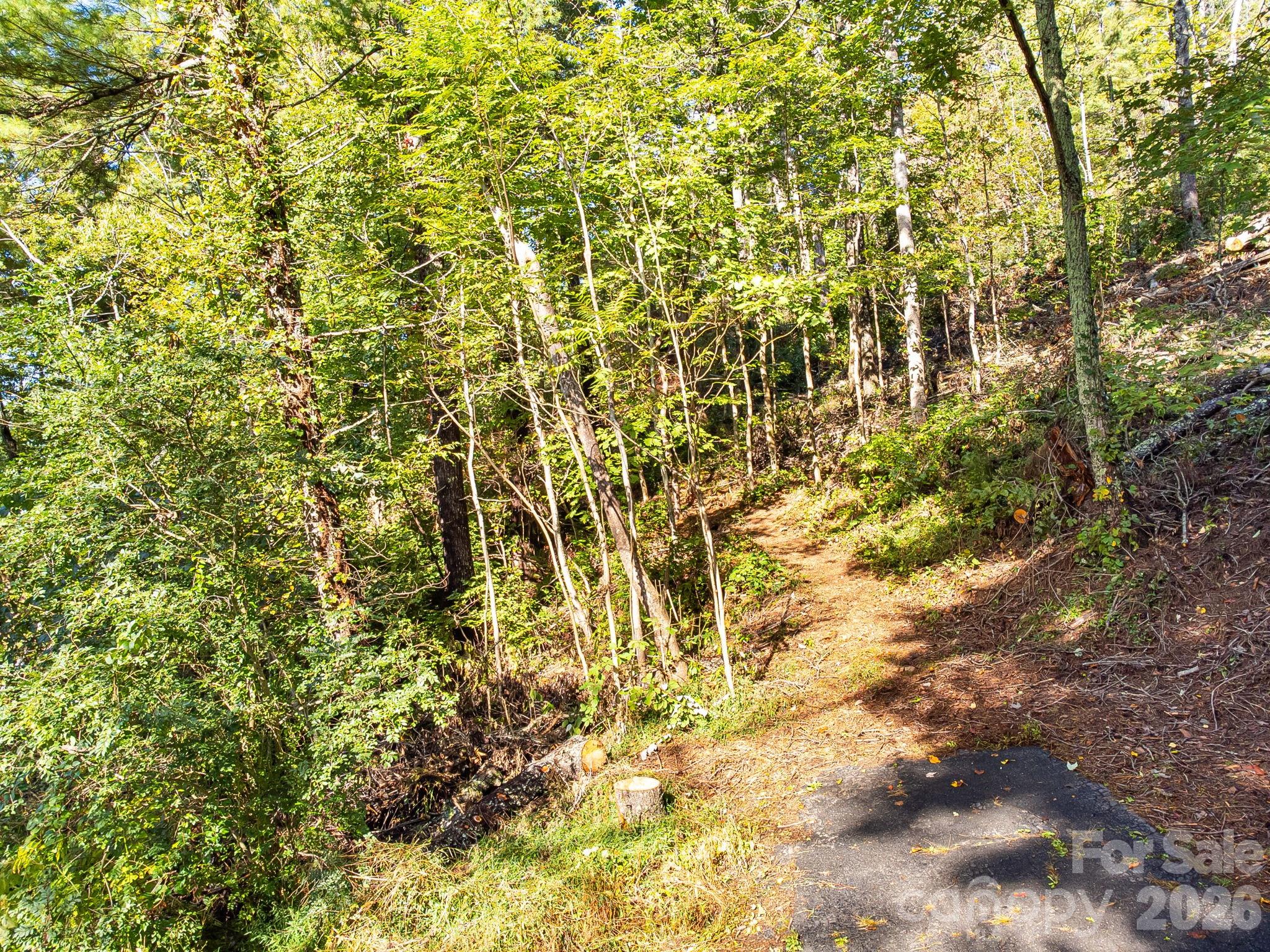 99999 Beaverbrook Road Unit: 2